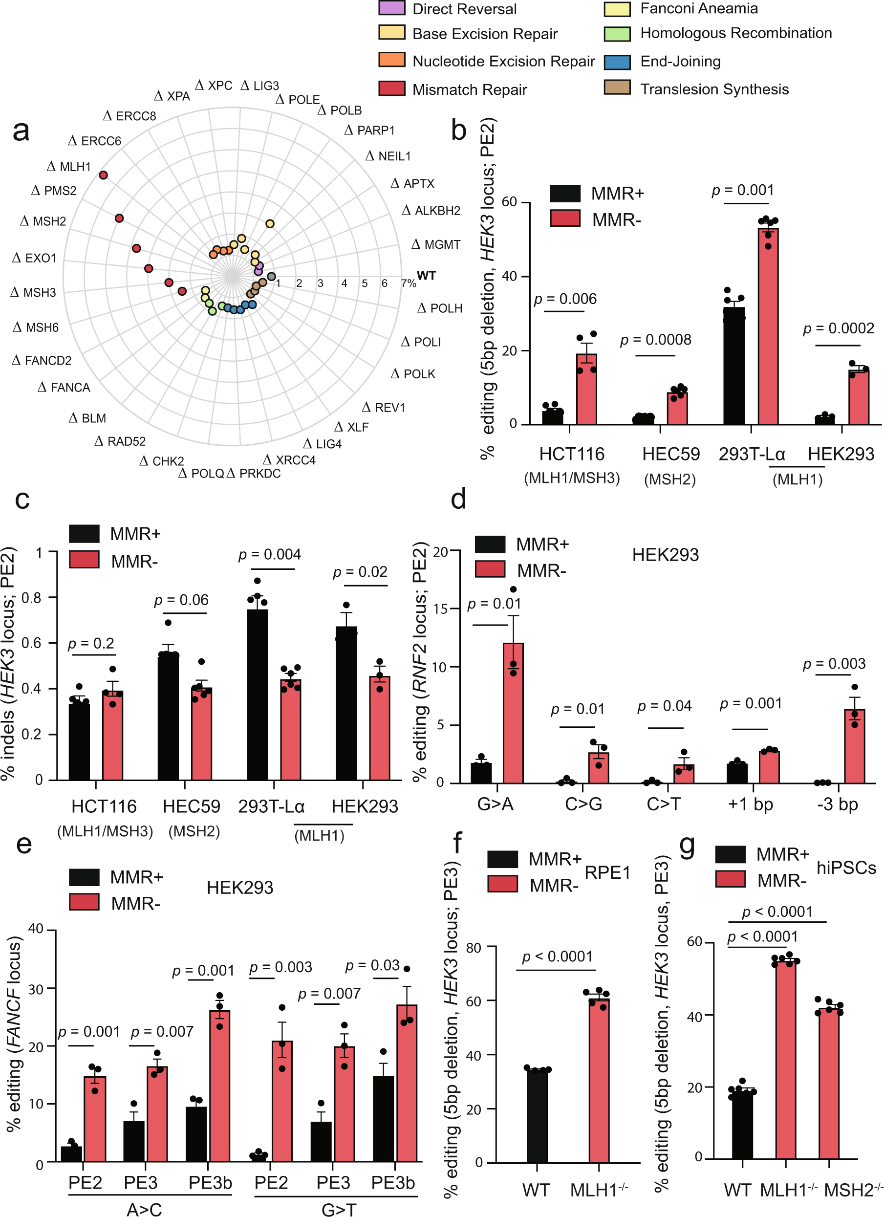 Prime editing efficiency and fidelity are enhanced in the absence of  mismatch repair | Nature Communications