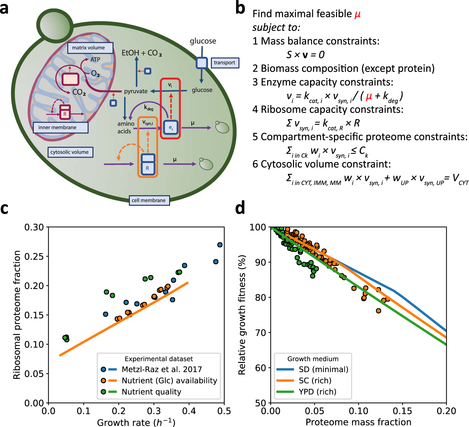 Life-cycle assessment of yeast-based single-cell protein production with  oat processing side-stream - ScienceDirect