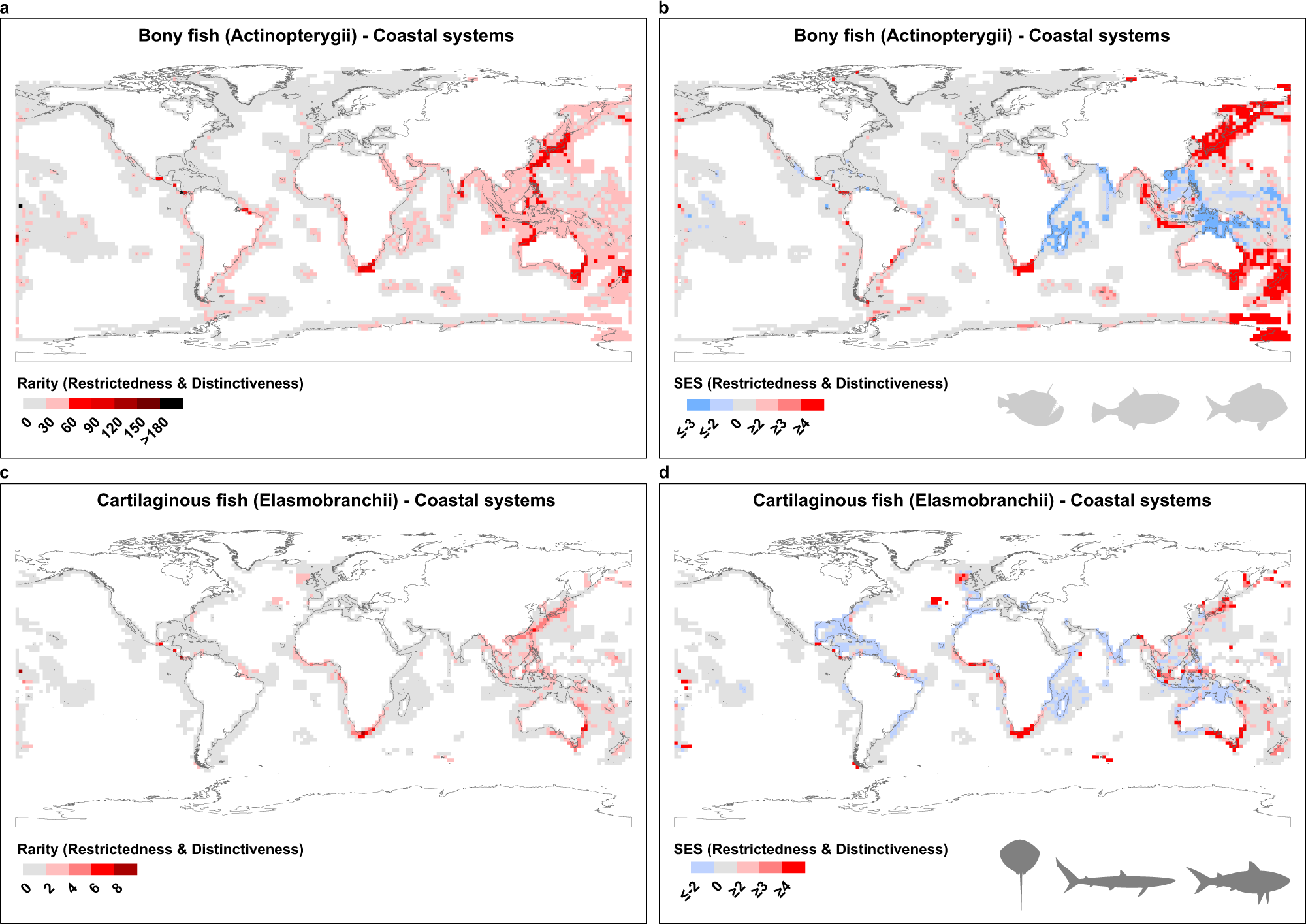 Fig. 1: Global biogeography of rarity for bony fishes (a–Actinopterygii) and cartilaginous fishes (c–Elasmobranchii) across Coastal Systems.