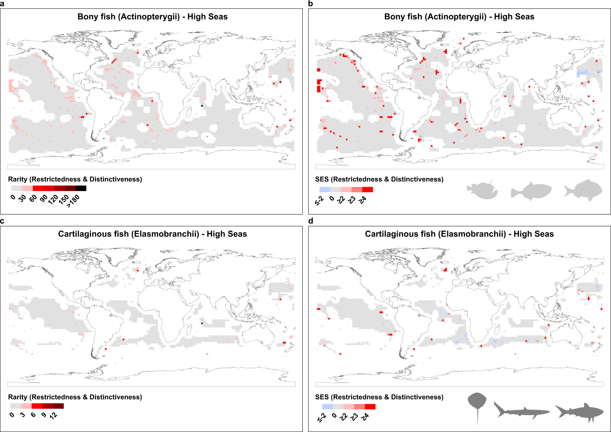 Fig. 2: Global biogeography of rarity for bony fishes (a–Actinopterygii) and cartilaginous fishes (c–Elasmobranchii) across High Seas.
