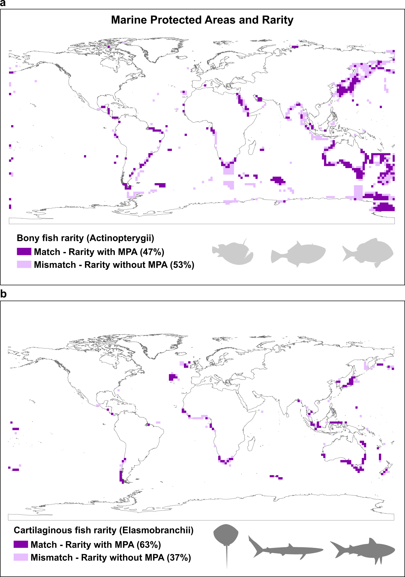 Fig. 4: Congruence and mismatches between MPAs and rarity hotspots.