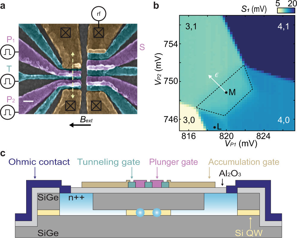 Charge-noise spectroscopy of Si/SiGe quantum dots via dynamically-decoupled  exchange oscillations | Nature Communications