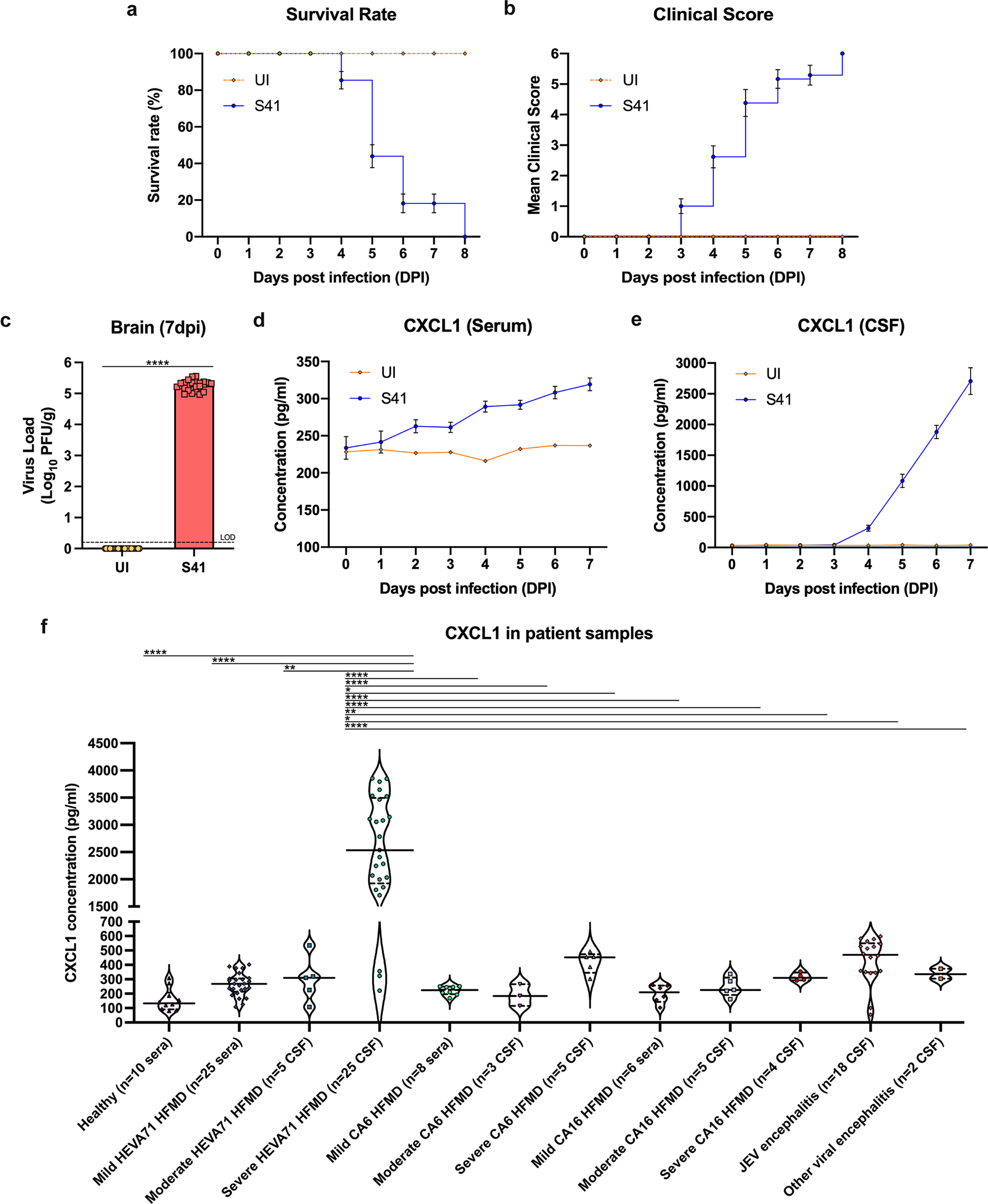 Fig. 3: CXCL1     is highly detected in CSFs of HEVA71 HFMD patients and mice with     neurological deficits.
