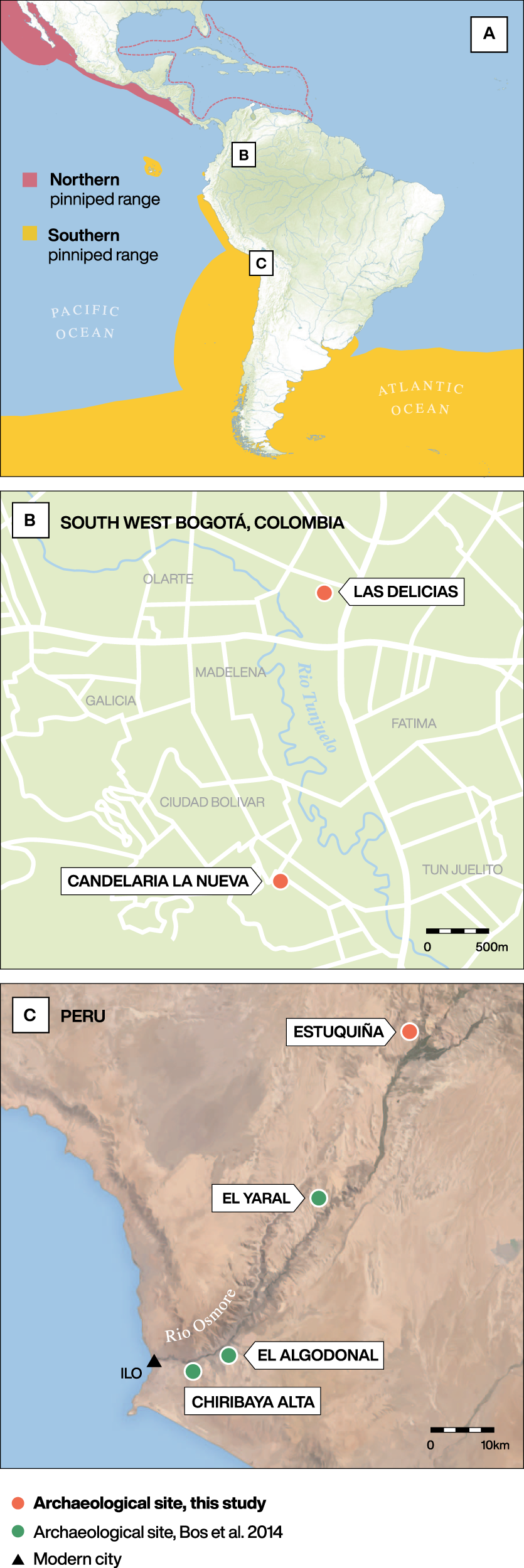 Chemistry Major Map Asu Geographically Dispersed Zoonotic Tuberculosis In Pre-Contact South  American Human Populations | Nature Communications