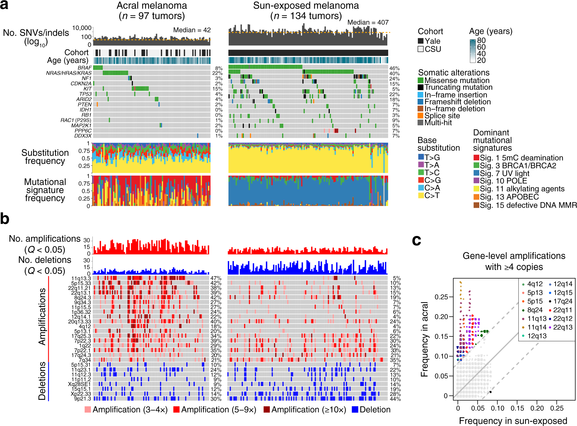 Integrative molecular and clinical profiling of acral melanoma links focal  amplification of 22q11.21 to metastasis | Nature Communications