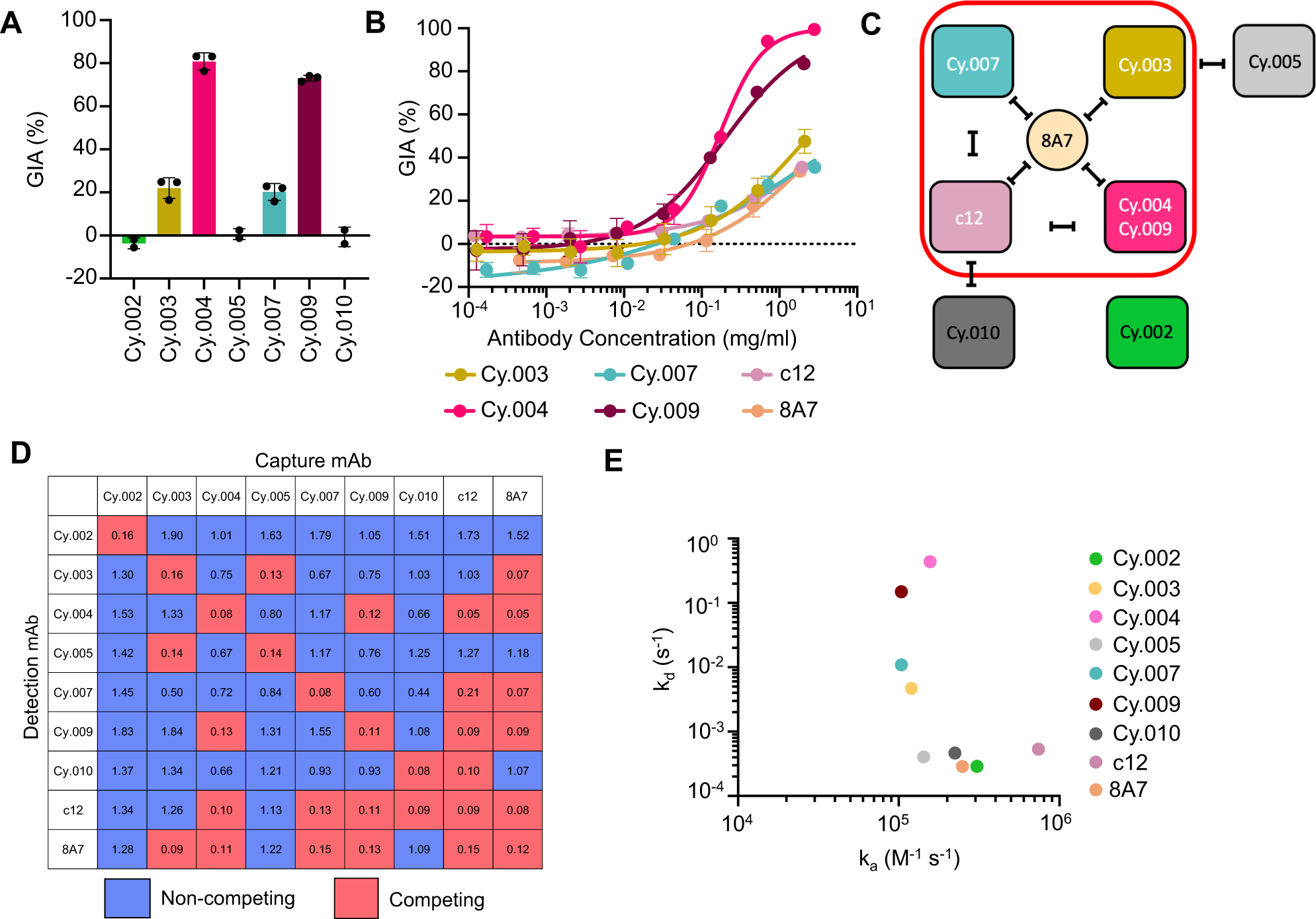 Heterotypic interactions drive antibody synergy against a malaria vaccine  candidate | Nature Communications