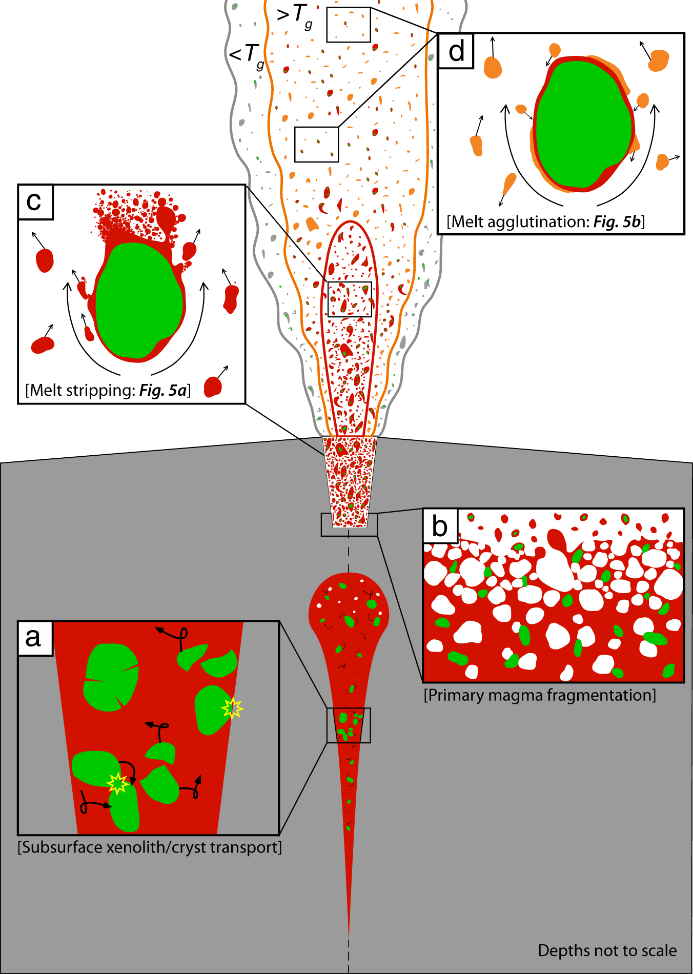 Fig. 4: The key dynamic processes that lead to the pyroclast textures observed.