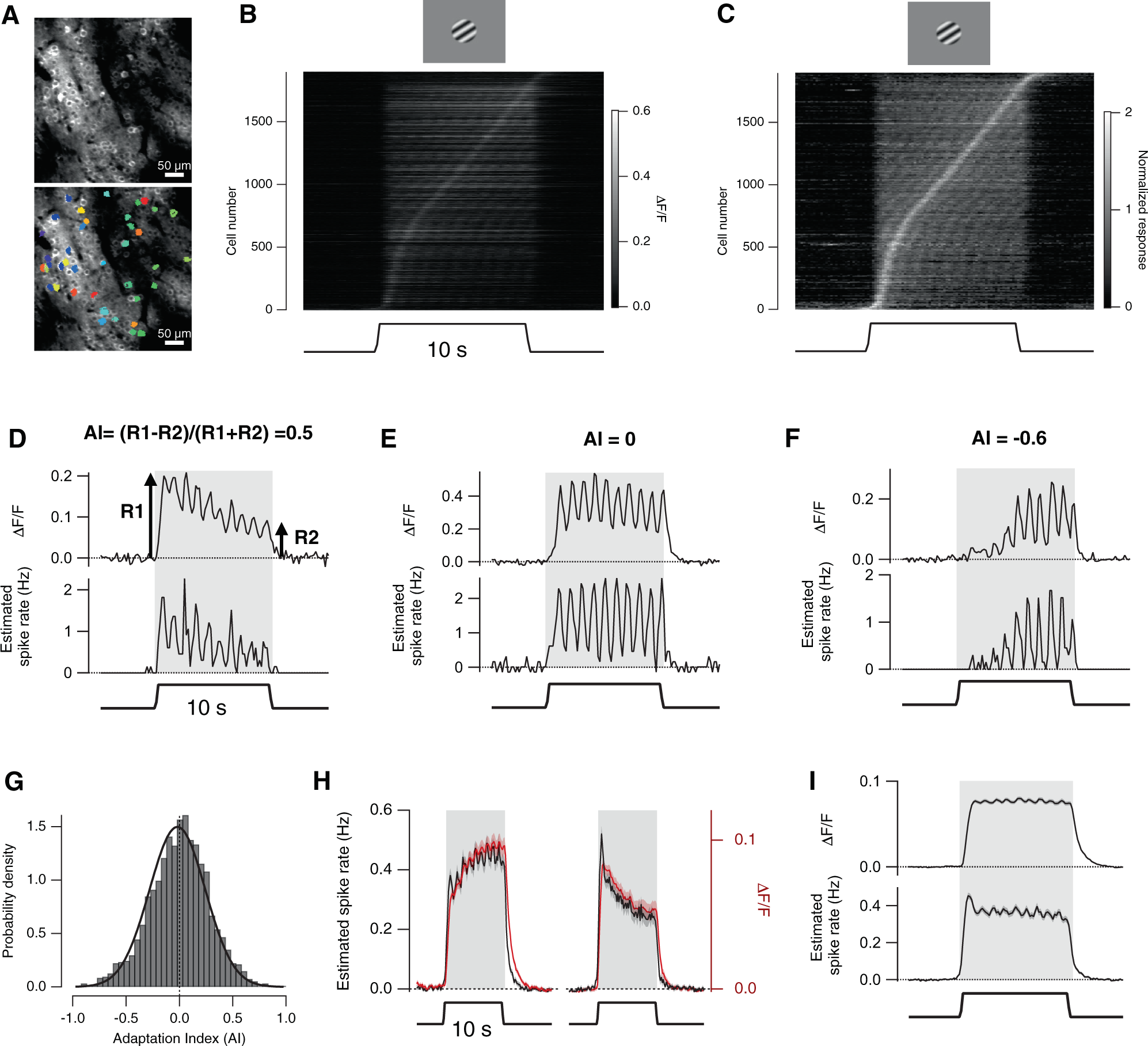 Academy dishonest Booth Opposite forms of adaptation in mouse visual cortex are controlled by  distinct inhibitory microcircuits | Nature Communications
