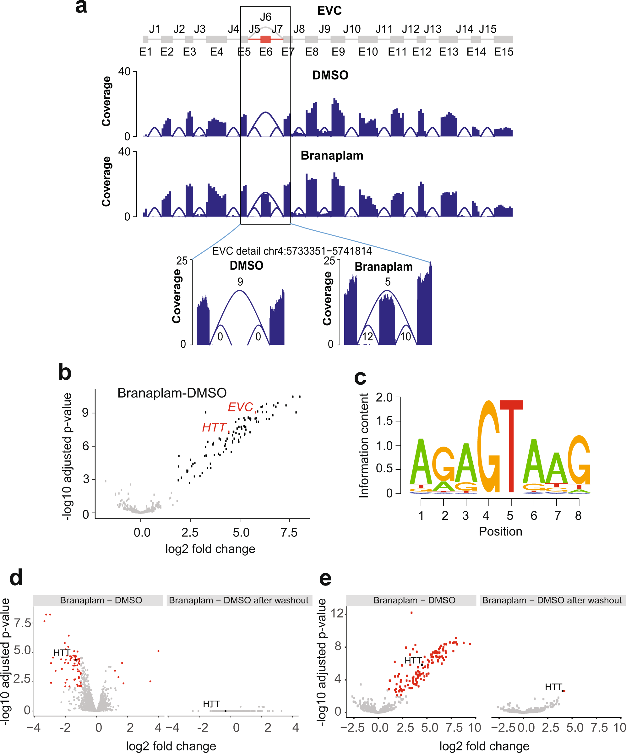 An orally available, brain penetrant, small molecule lowers huntingtin  levels by enhancing pseudoexon inclusion | Nature Communications
