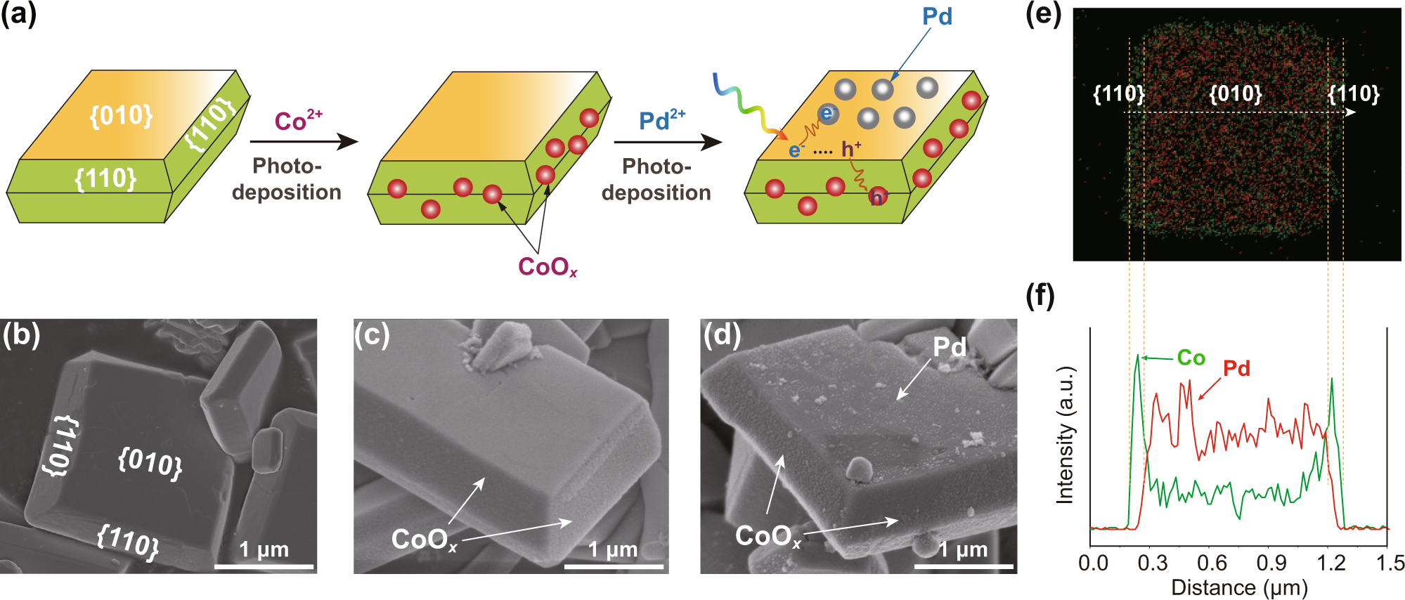 Fig. 1: Facet-selective loading of CoOx and Pd cocatalysts on Mo:BiVO4.