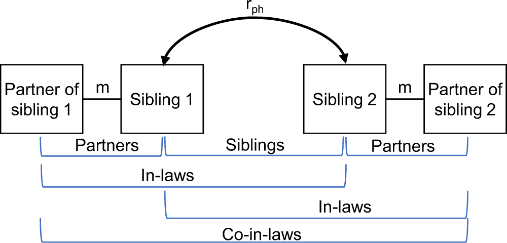 Modeling assortative mating and genetic similarities between partners, siblings, and in-laws Nature Communications