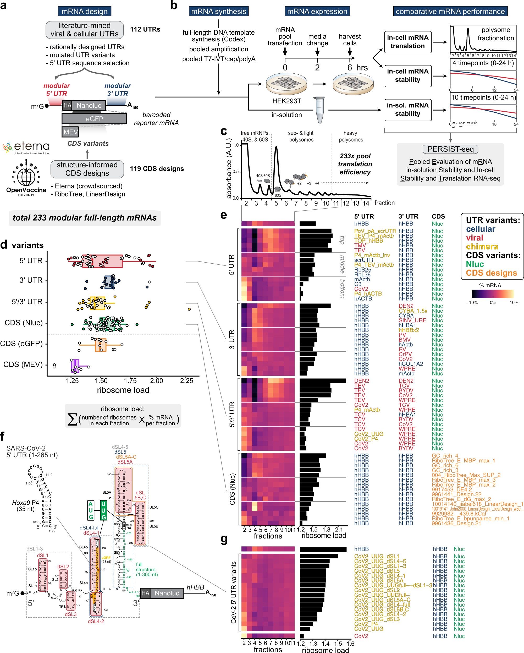 Combinatorial optimization of mRNA structure, stability, and