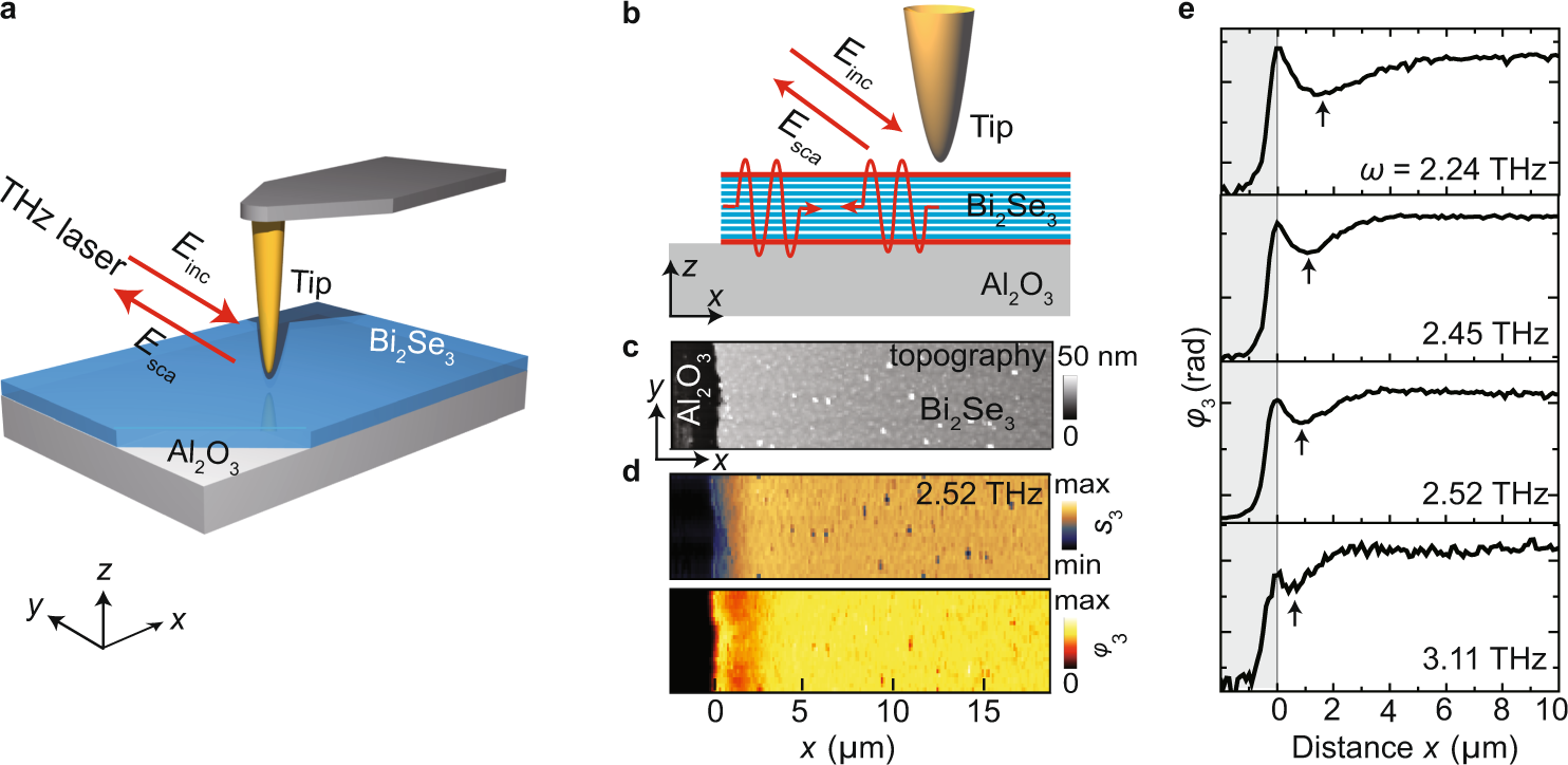 Real Space Nanoimaging Of Thz Polaritons In The Topological Insulator Bi2se3 Nature Communications