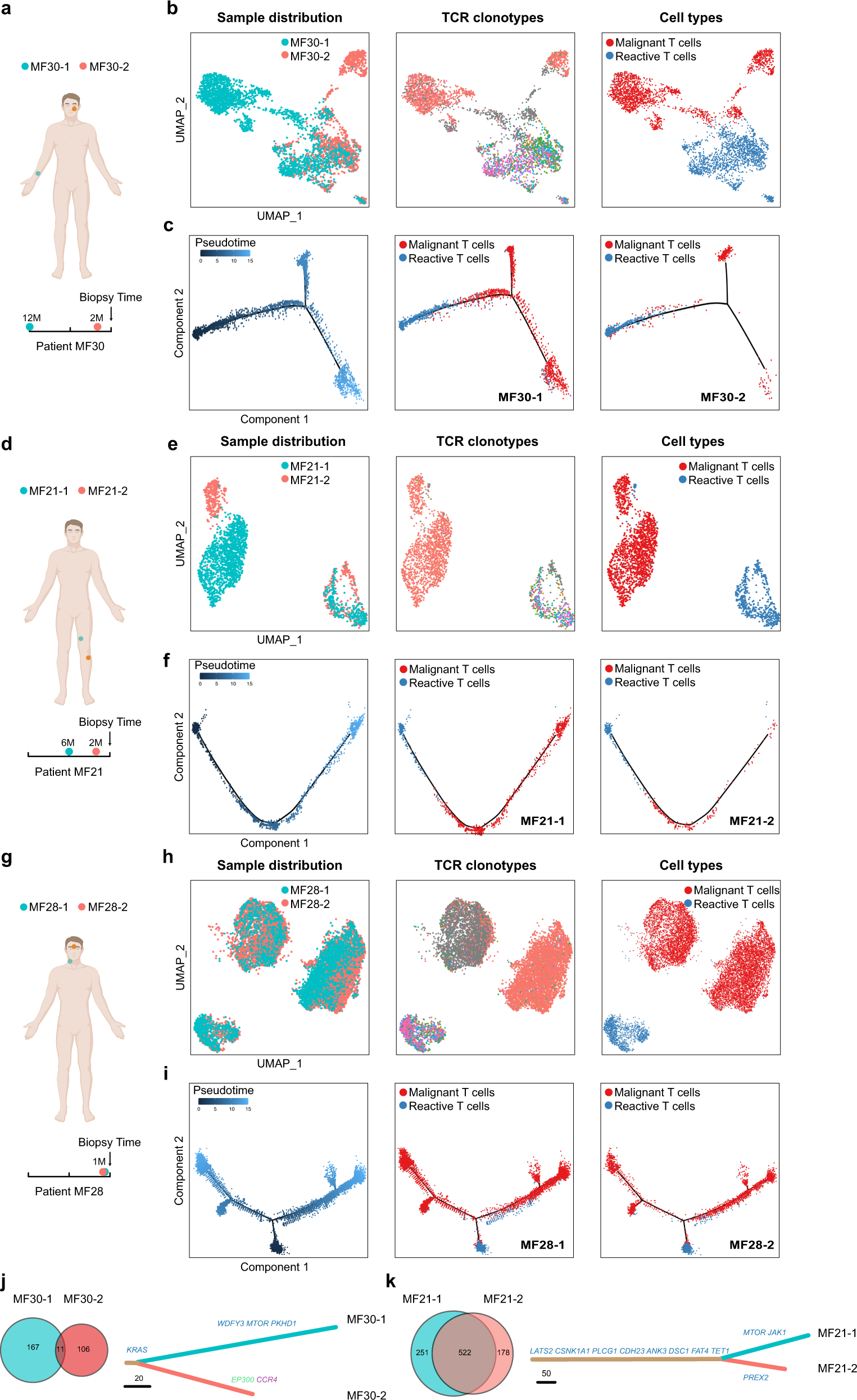 Fig. 3: Inter-lesion diversity analysis of paired tumors from the same patient.