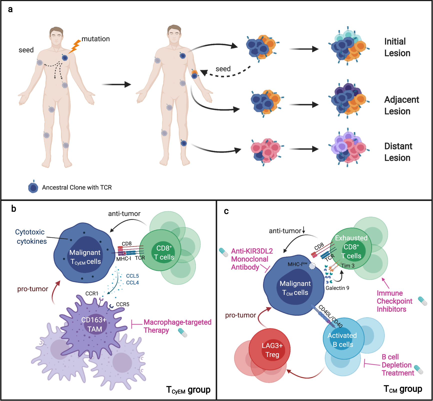 Fig. 7: A schematic representation of this study.