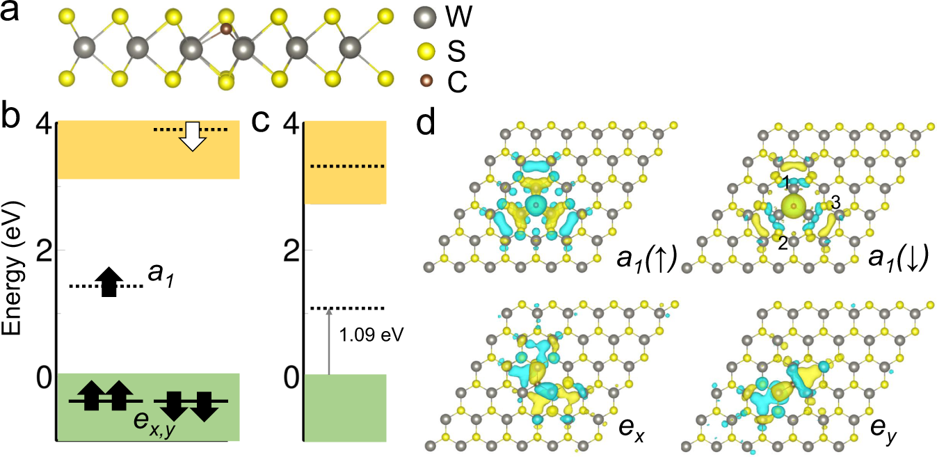 Carbon defect qubit in two-dimensional WS2 | Nature Communications