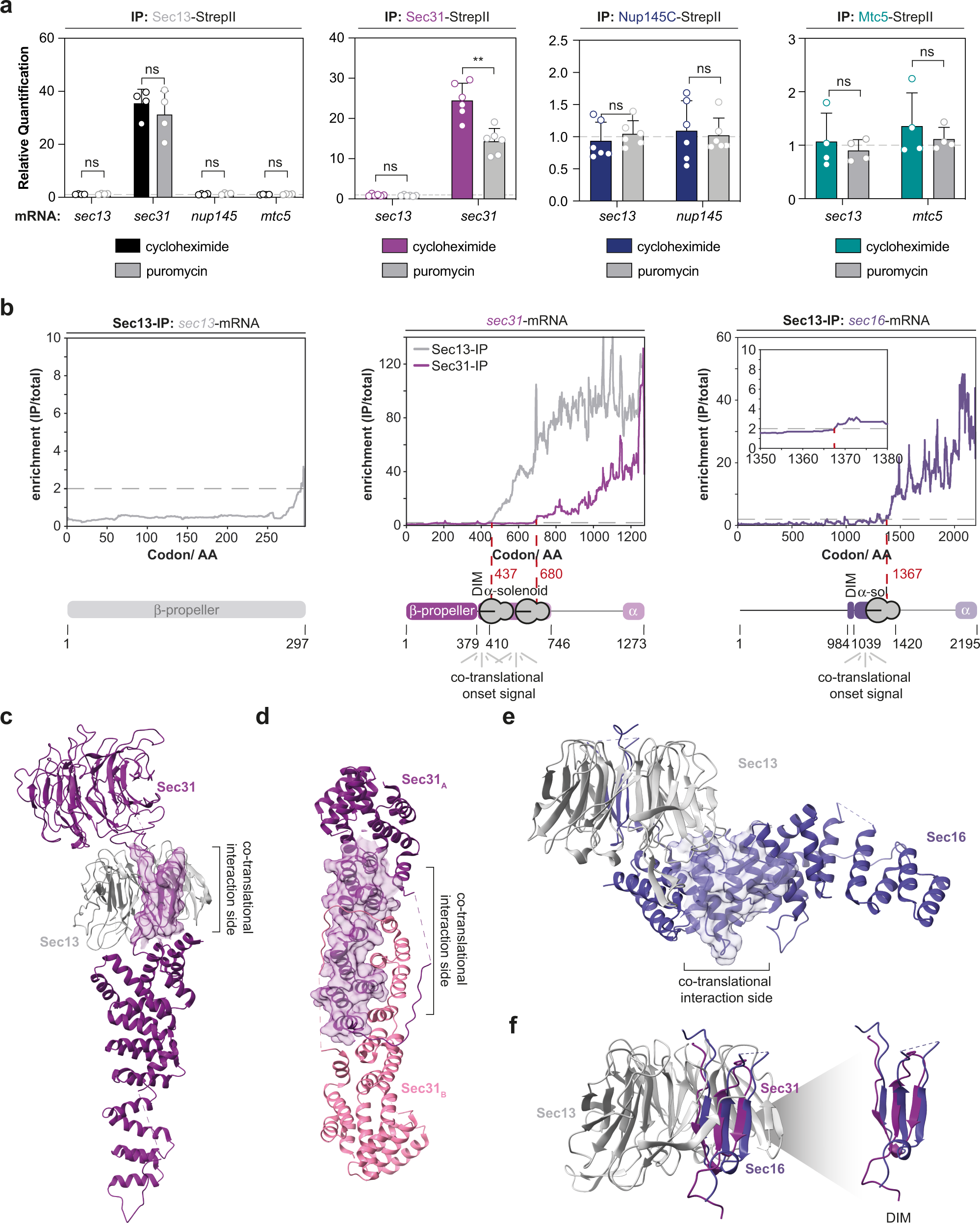Fig. 4: Co-translational substrate recognition is modular.