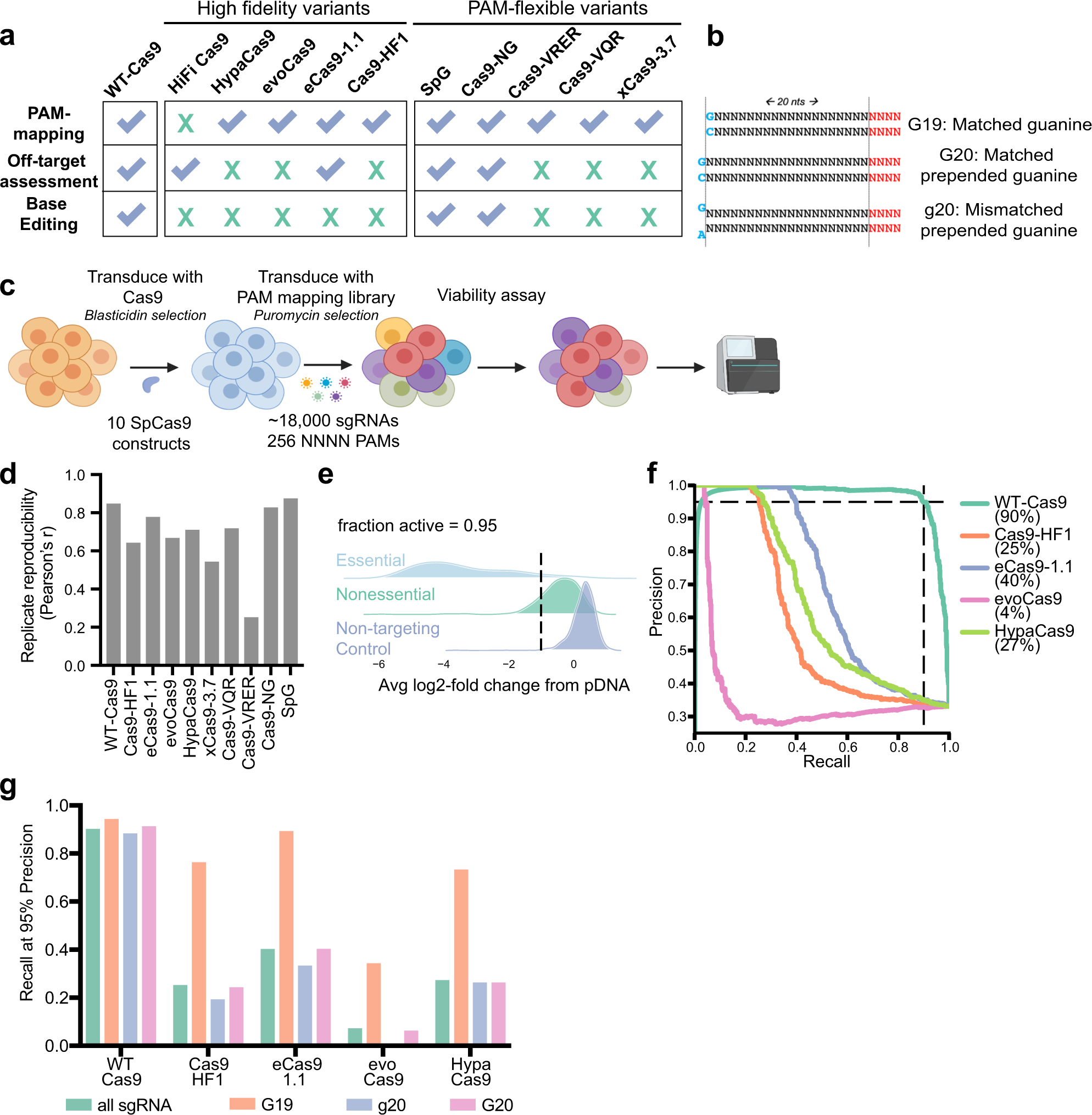 Fig. 1: Establishment of a benchmarking assay for Cas9 activity.