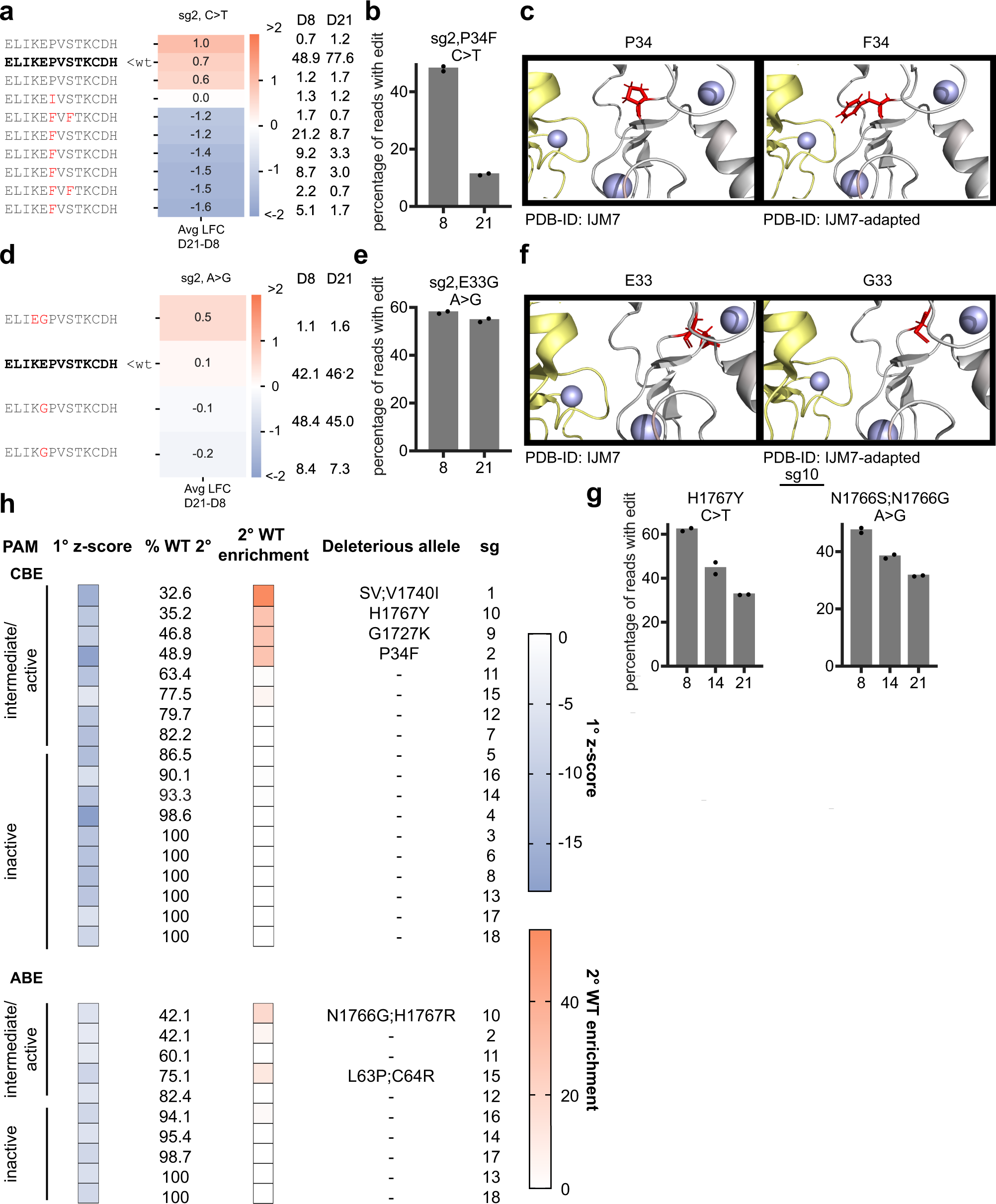 Fig. 6: Validation of BRCA1 hits identified by Cas9-NG.