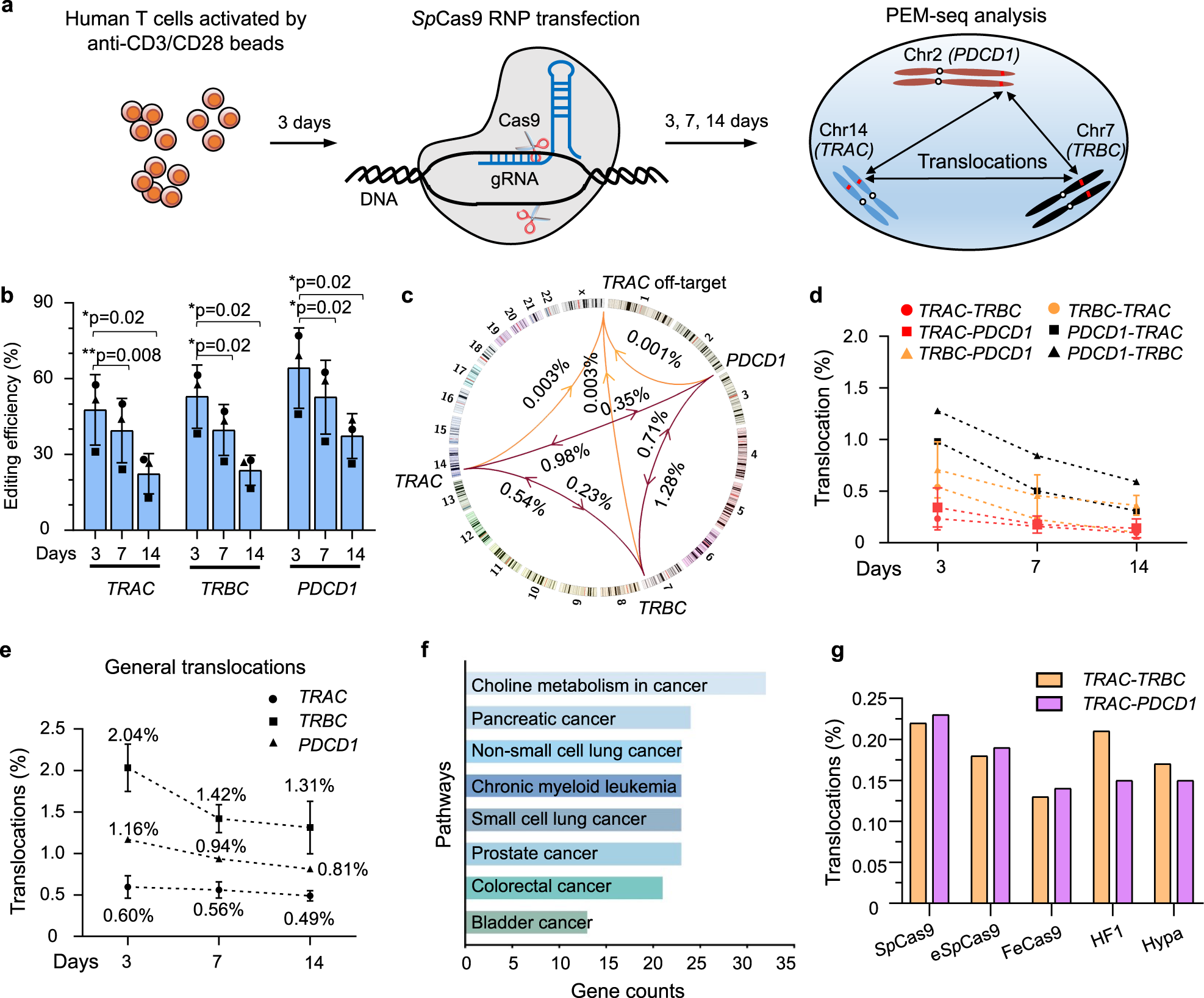 Fig. 1: Translocations during SpCas9-mediated multiplex gene editing in human T cells.