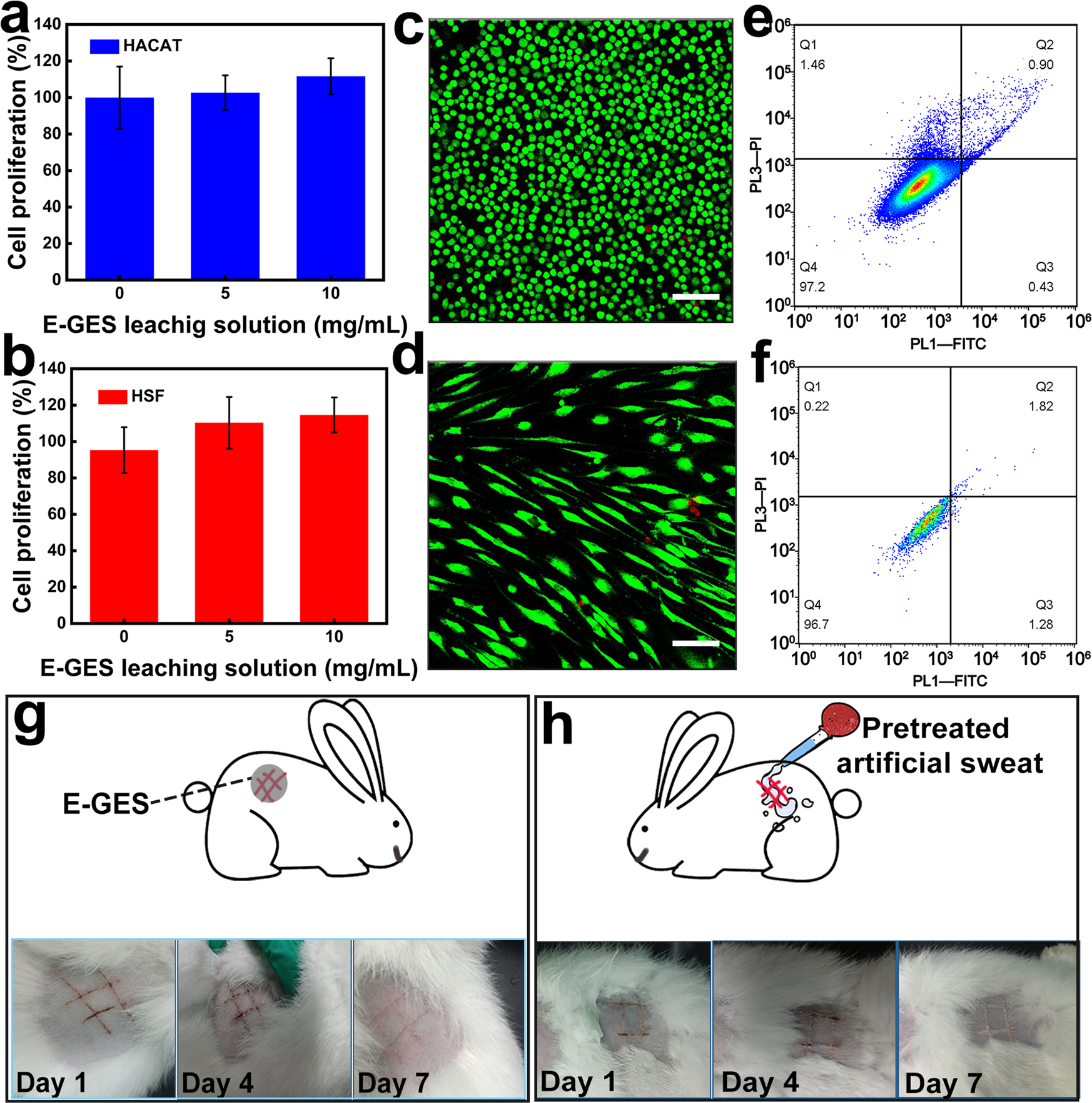 Fig. 4: Biocompatibility tests of E-GES.