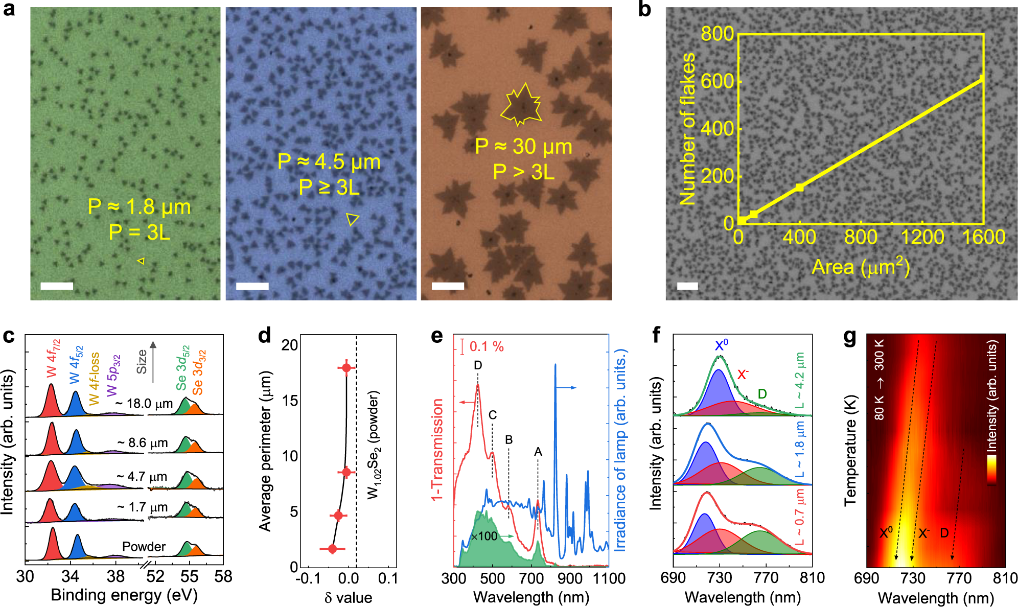 Atomistic Insights Into Highly Active Reconstructed Edges Of Monolayer 2h Wse2 Photocatalyst Nature Communications