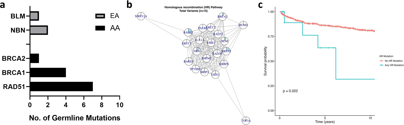 Fig. 4: HR DDRG Pathway based Germline Mutations Profiling in AA and European Ancestry Men.