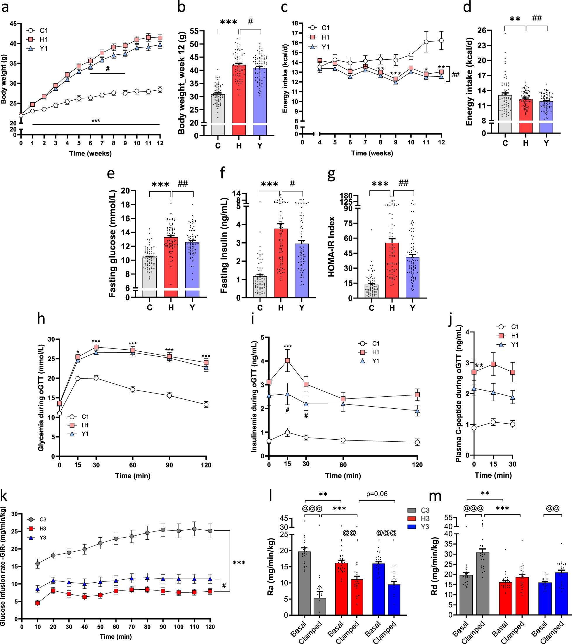 Fig. 1: Yogurt consumption preserves glucose homeostasis and insulin sensitivity.