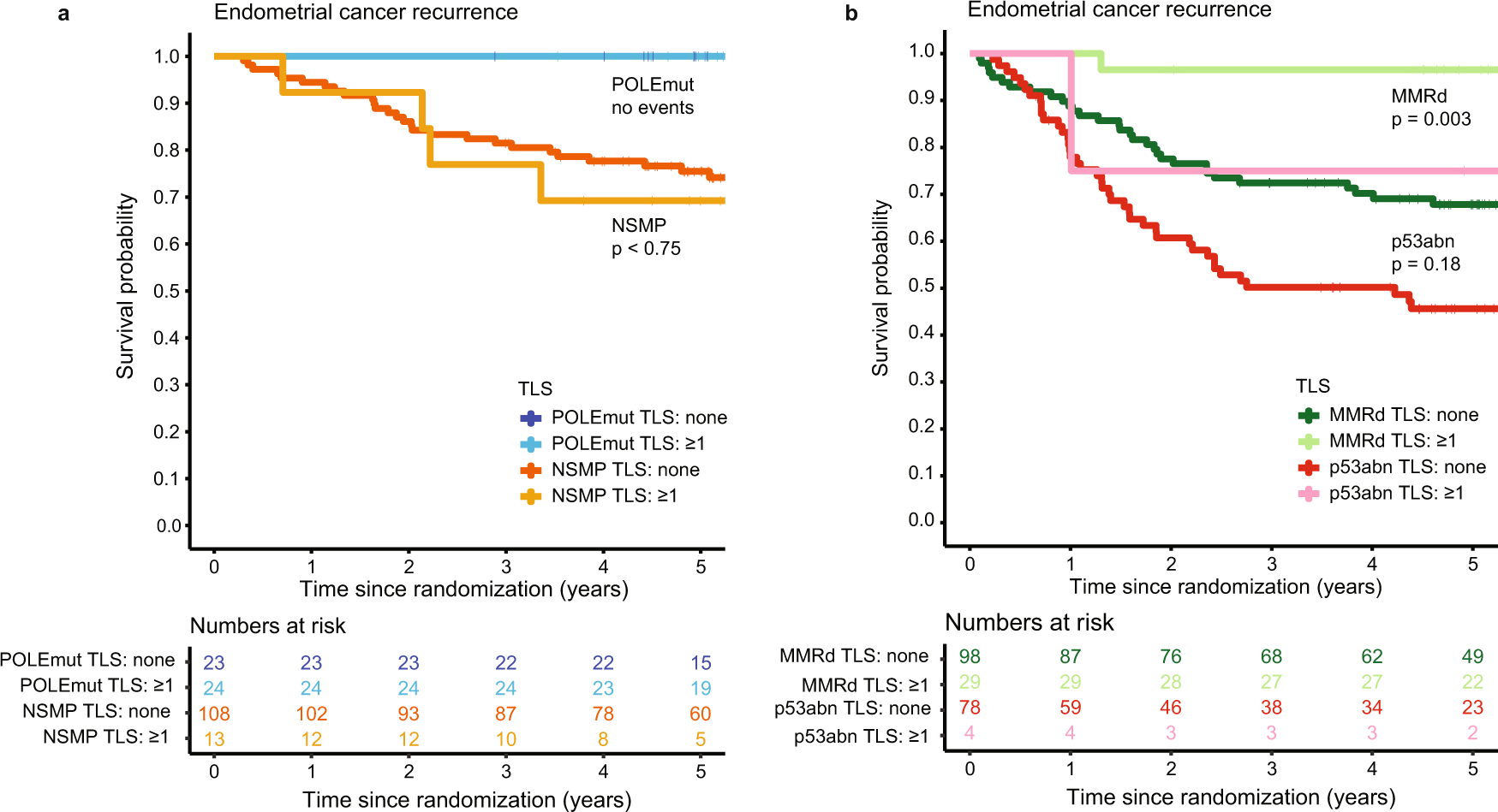 Fig. 6: Endometrial cancer recurrence by TLS presence across the endometrial cancer molecular classes.