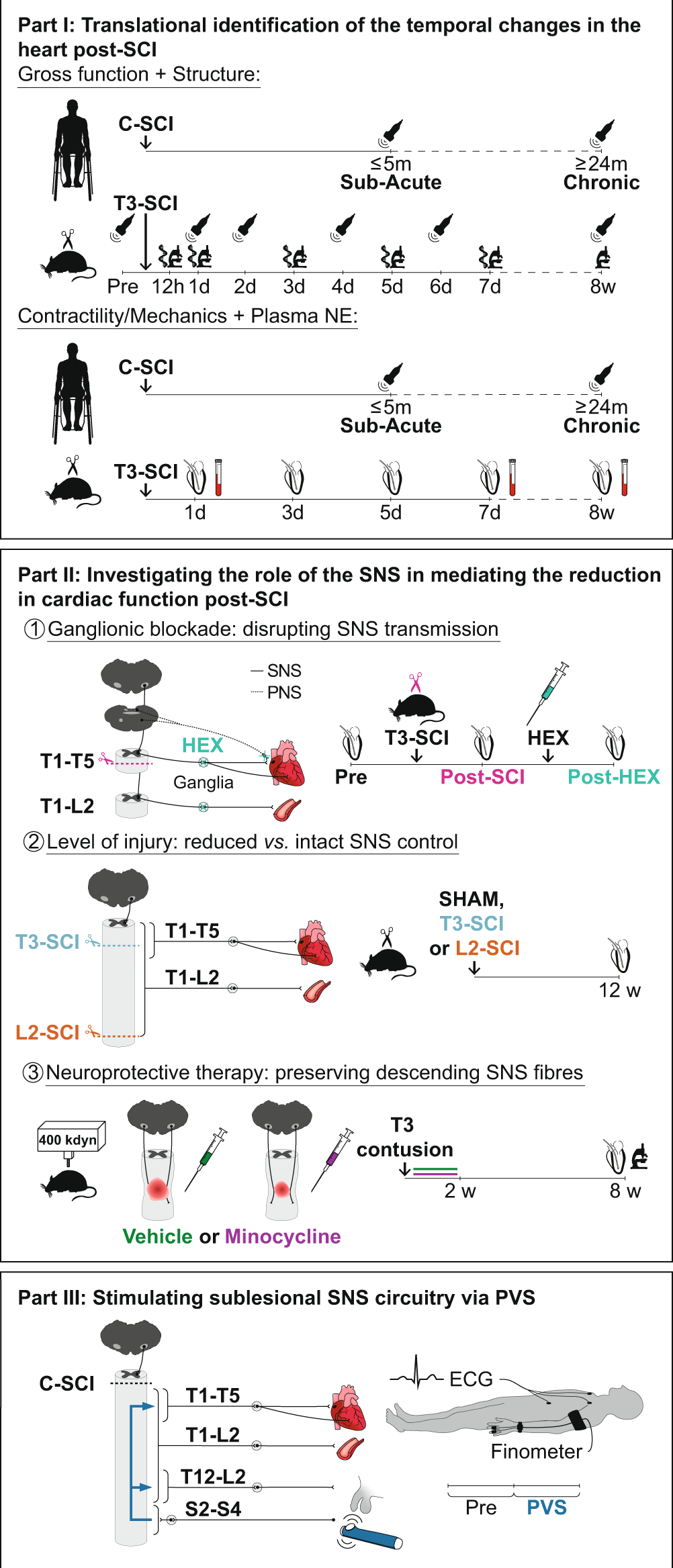Got A Spine Scholarship3