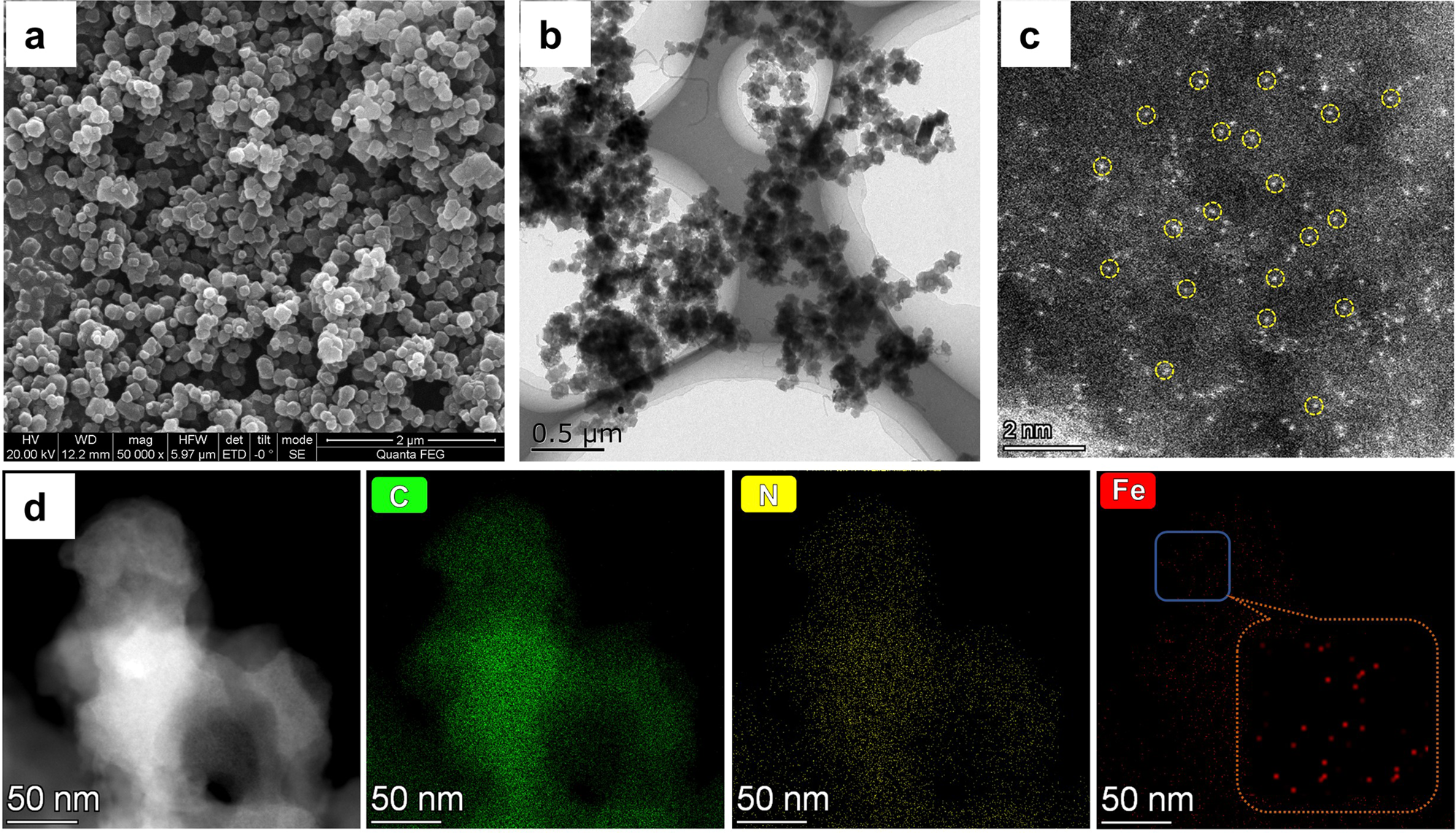 Fig. 3: Representative electron microscopy images.
