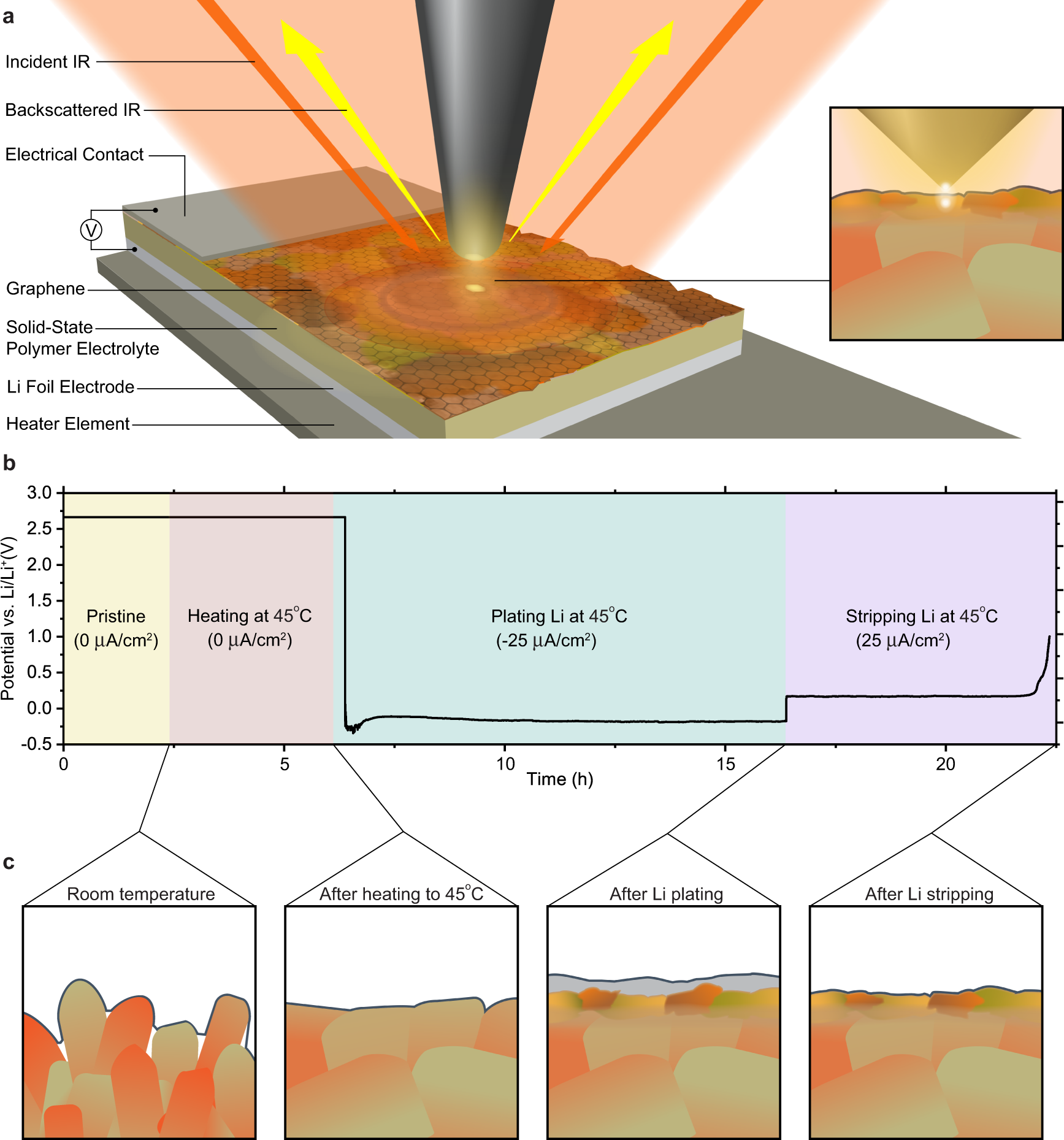 In situ infrared nanospectroscopy of the local processes at the Li/polymer  electrolyte interface | Nature Communications