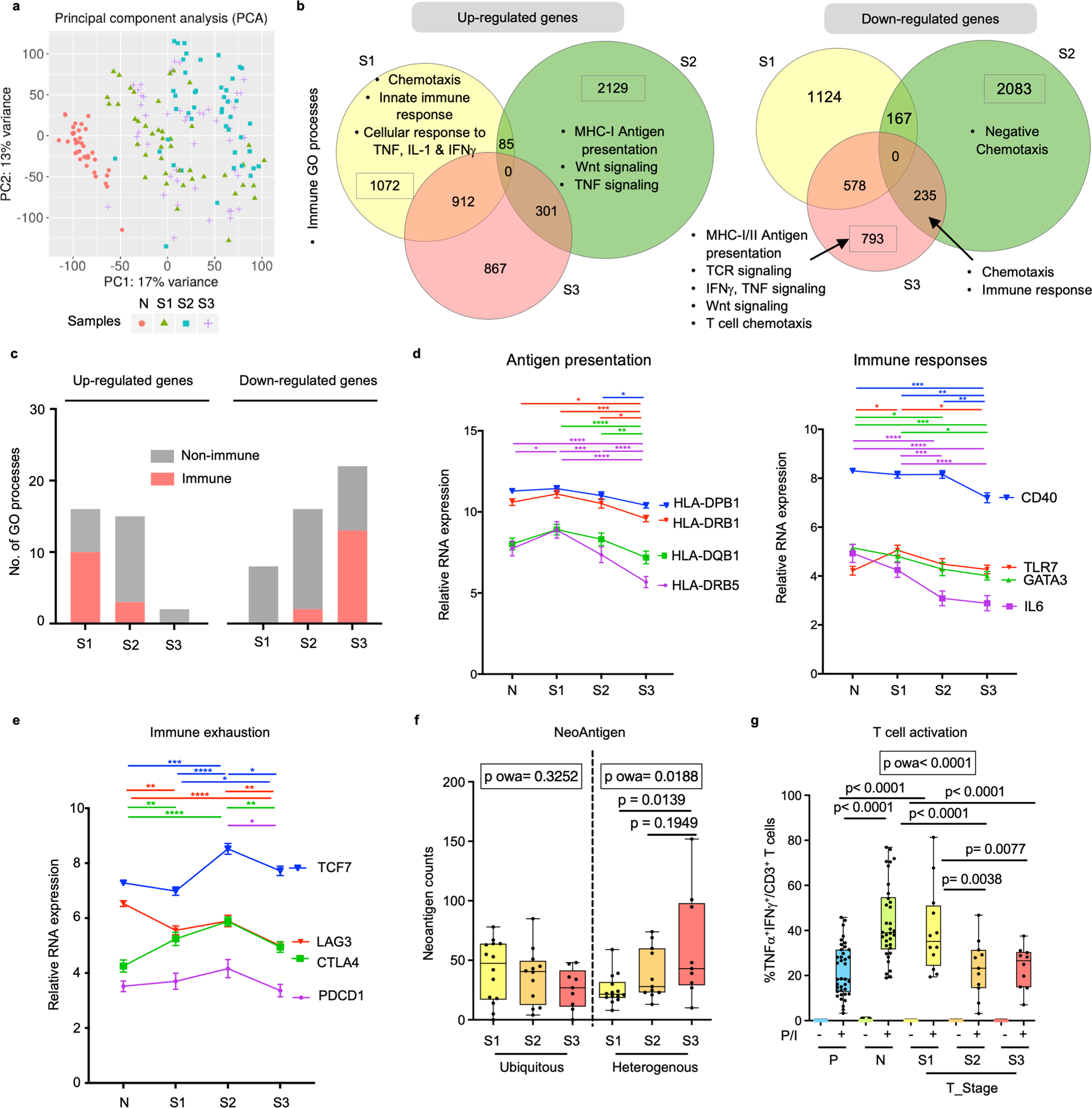 Fig. 4: Progressive tumour co-evolution along immune evasion at different HCC stages.