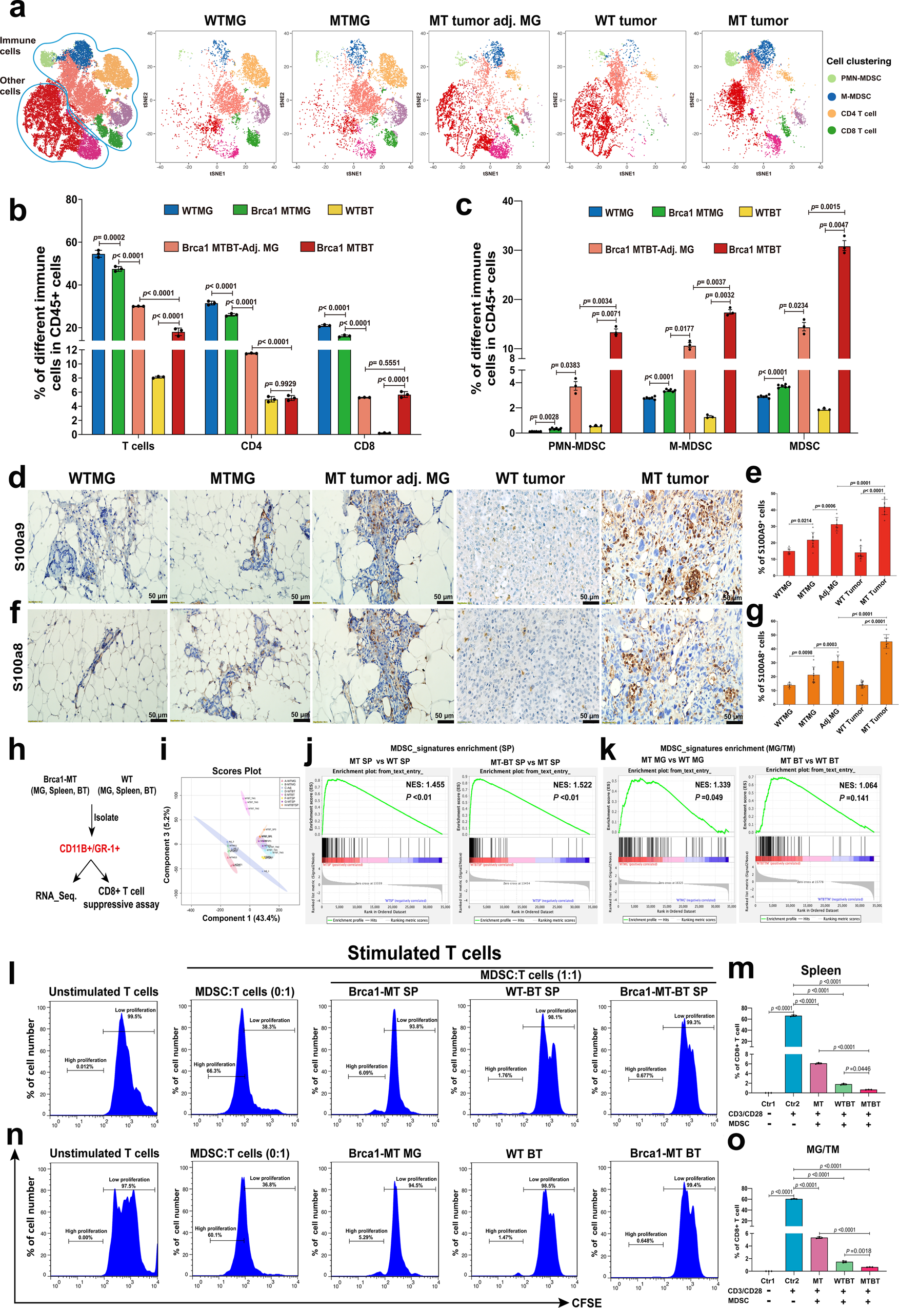 S100A9-CXCL12 activation in BRCA1-mutant breast cancer promotes an  immunosuppressive microenvironment associated with resistance to  immunotherapy | Nature Communications