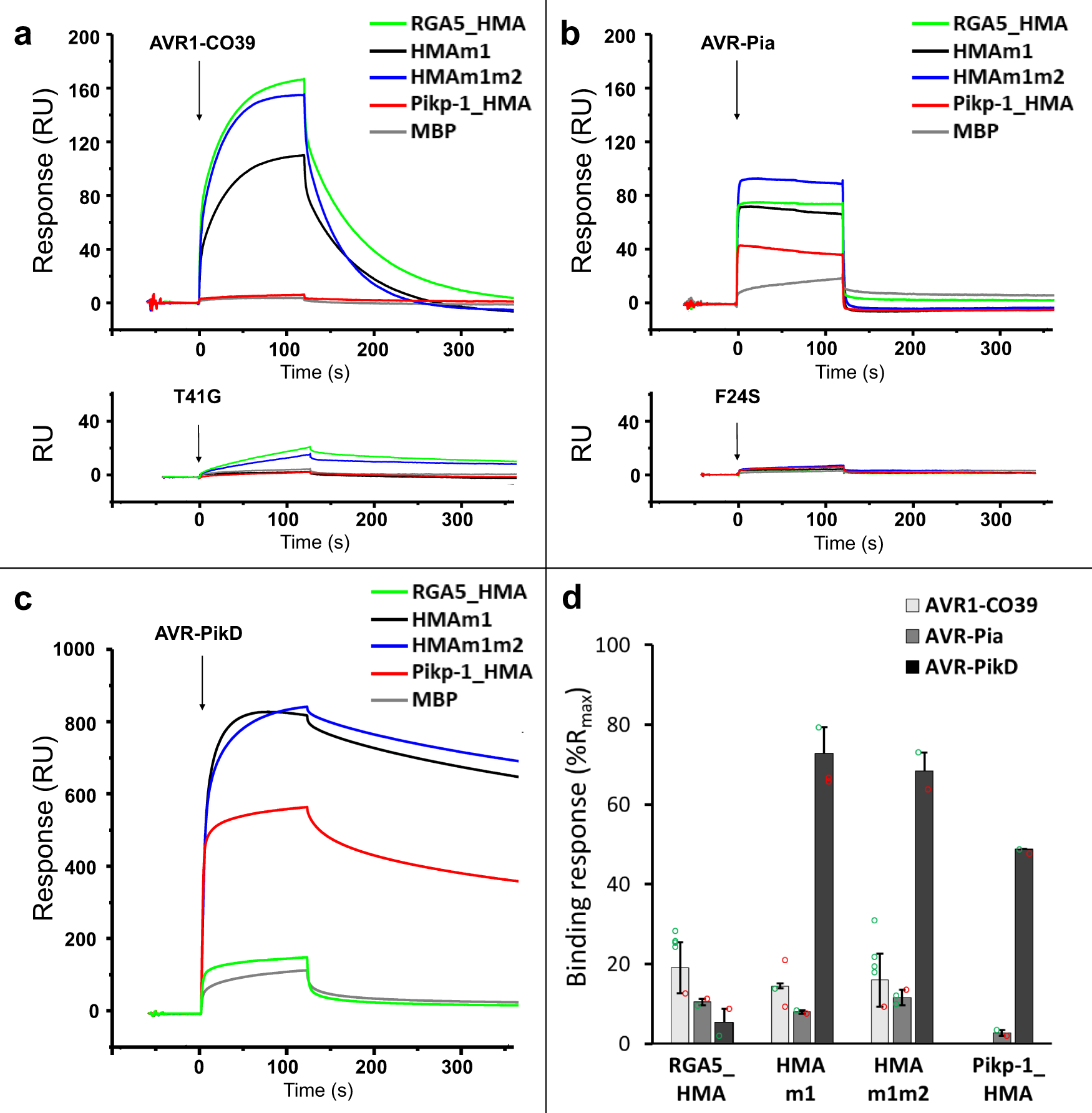 Fig. 3: Engineered RGA5_HMAs bind strongly to AVR-PikD in vitro.