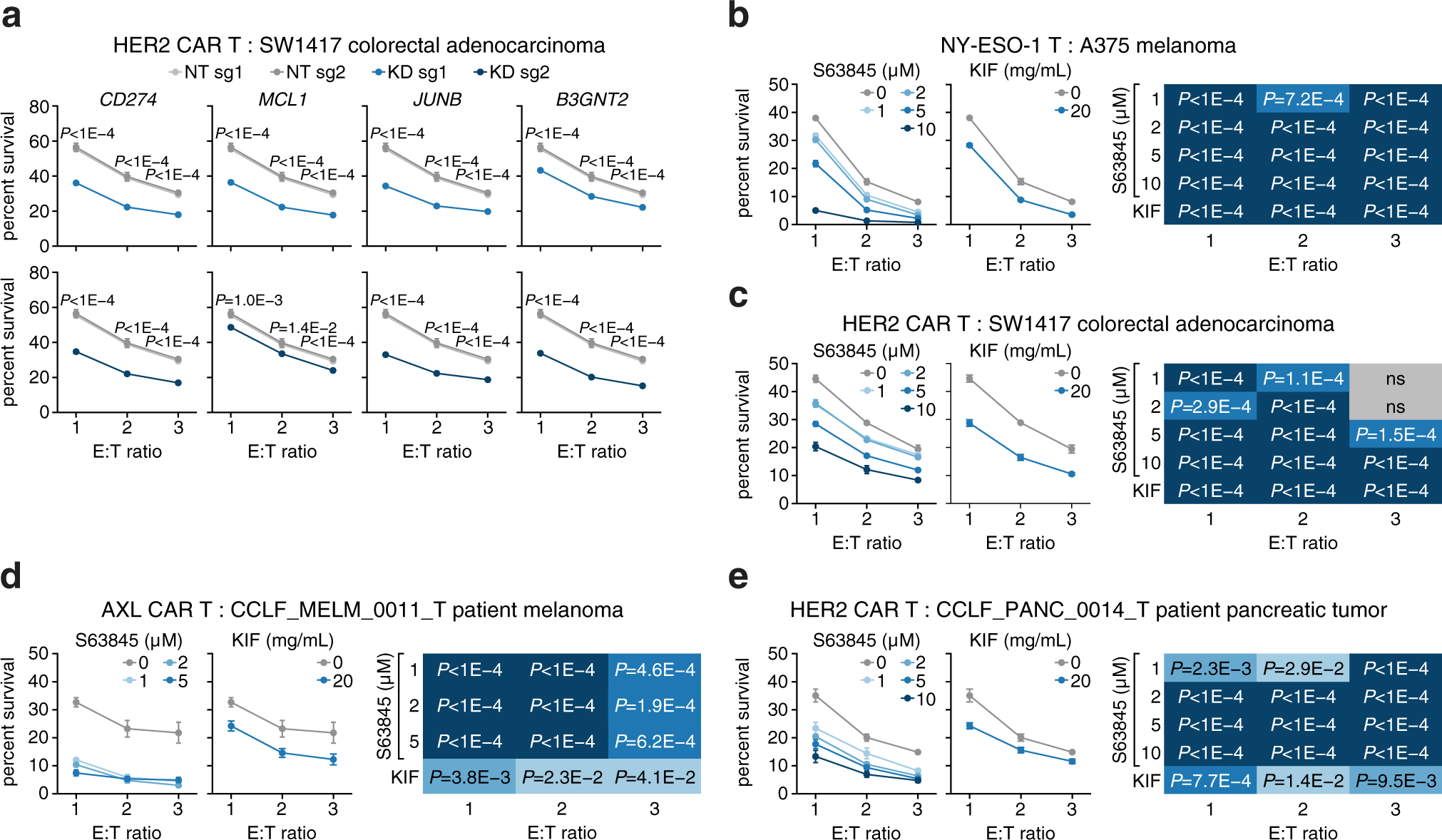 Fig. 5: Inhibition of candidate genes sensitizes tumors to T cell cytotoxicity.