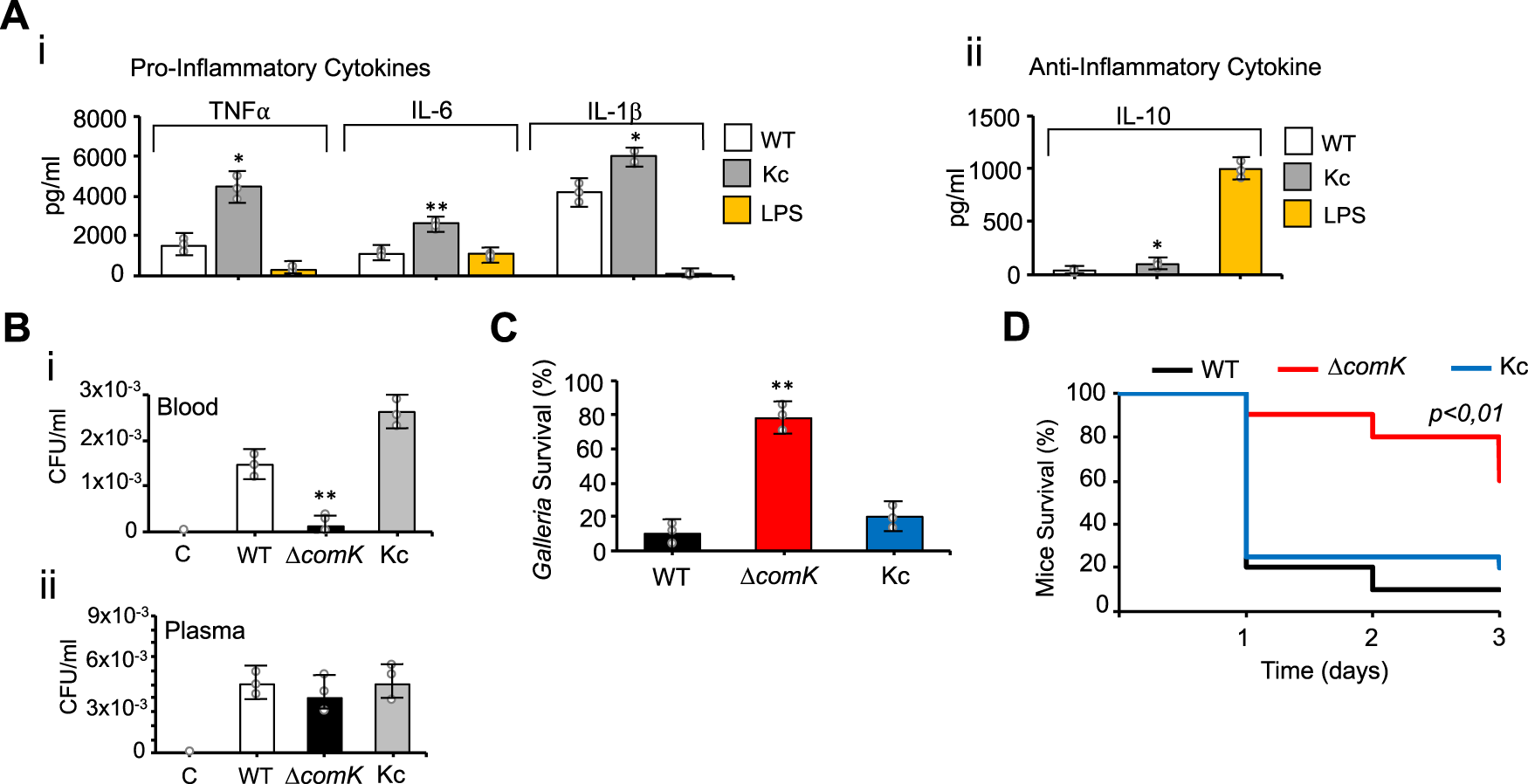 Fig. 8: comK expression is required for S. aureus survival during infection.