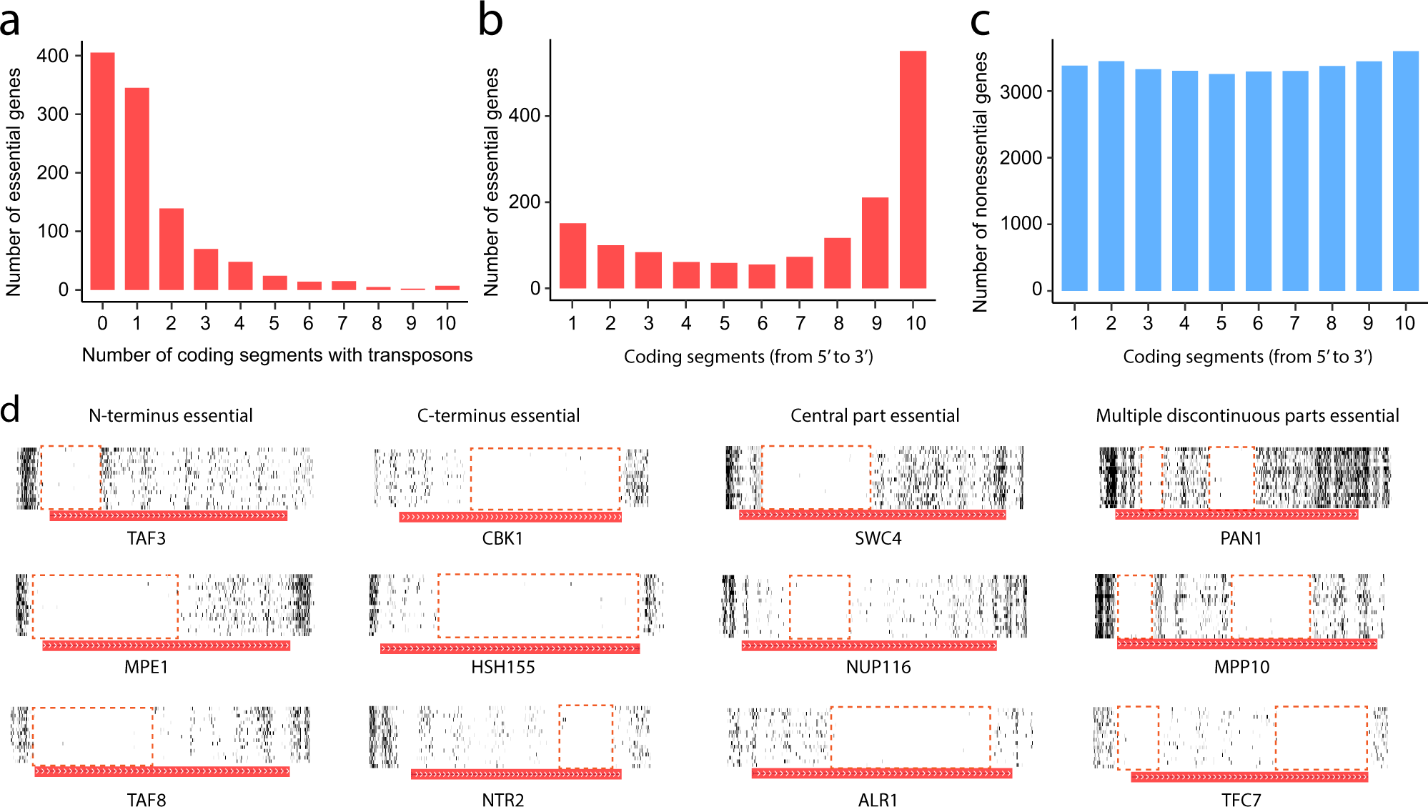 Fig. 6: Most essential genes contain transposon-tolerant coding segments.