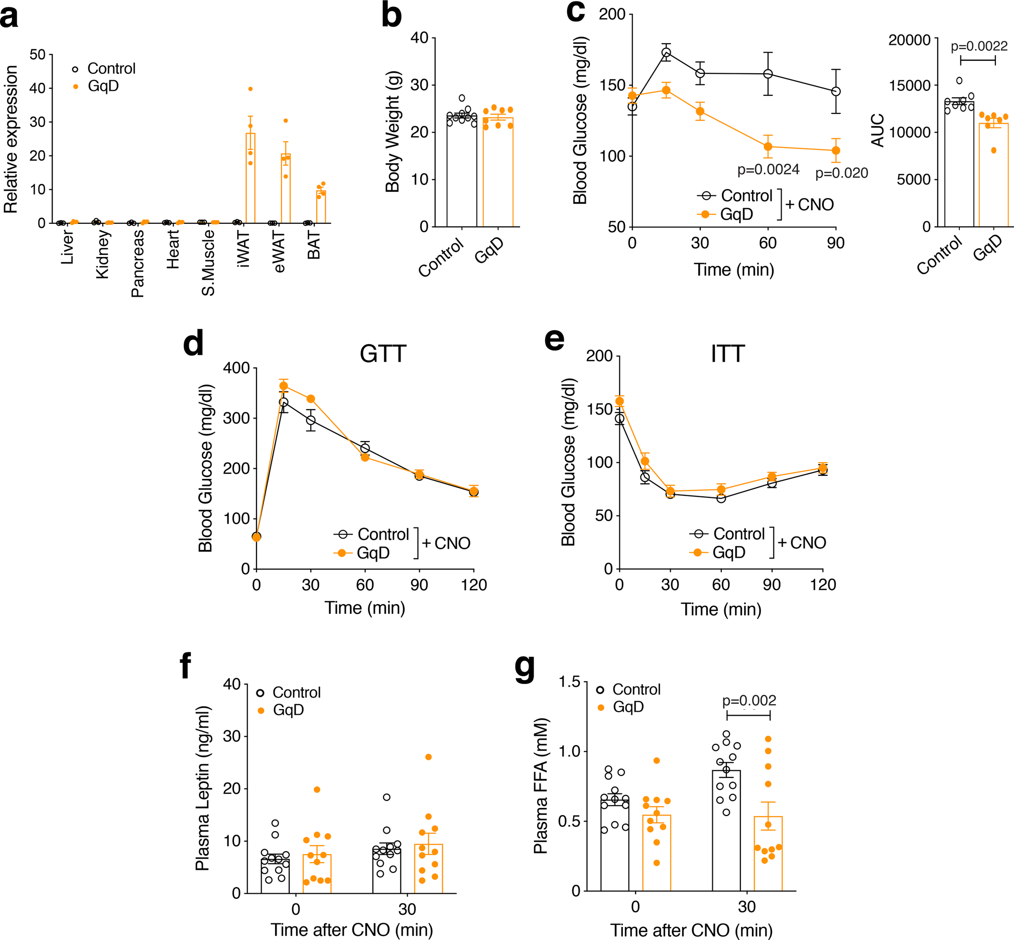 Fig. 1: Acute CNO treatment of adipo-GqD mice causes reduced blood glucose and plasma free acid levels.