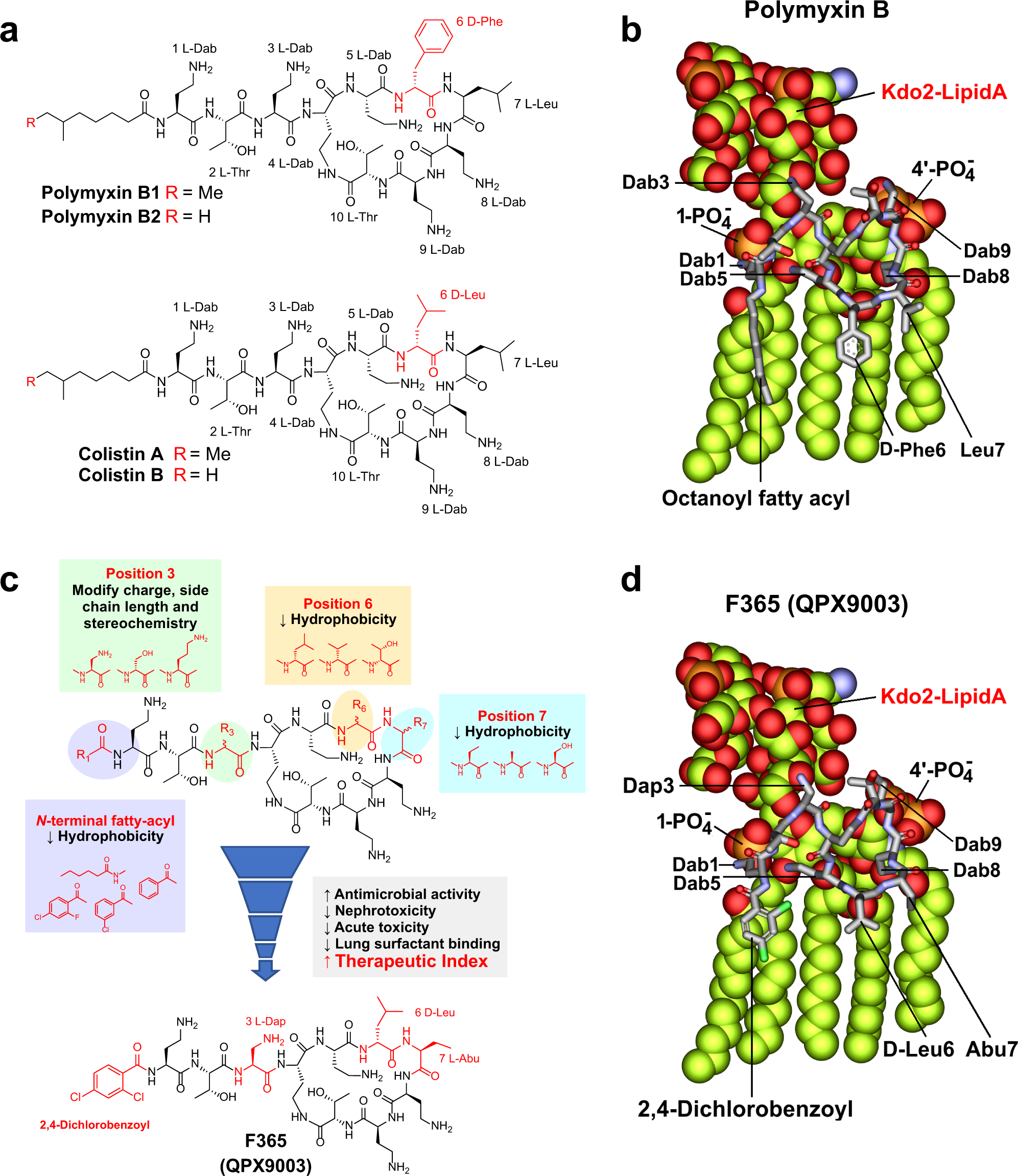 A synthetic lipopeptide targeting top-priority multidrug-resistant  Gram-negative pathogens | Nature Communications