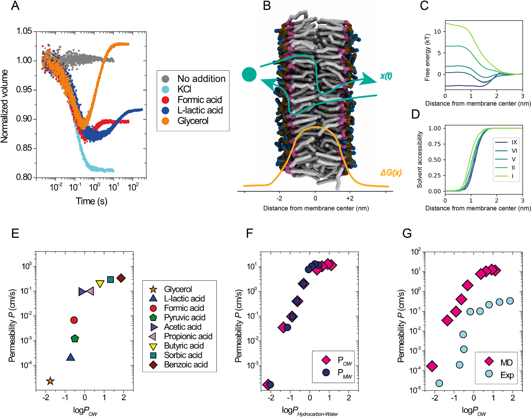 Membrane thickness, lipid phase and sterol type are determining