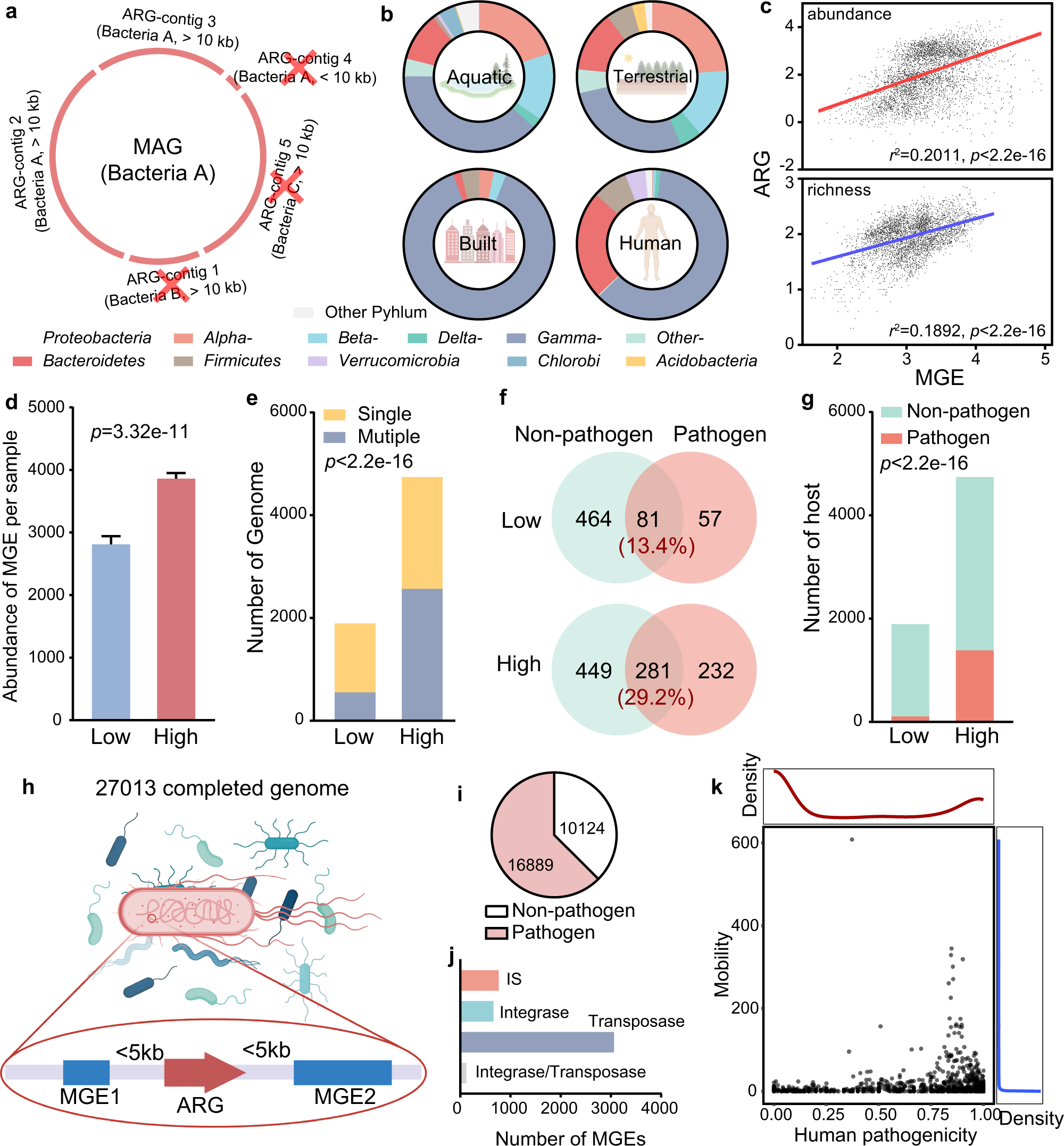 Fig. 2: Human pathogenicity and mobility of ARGs.