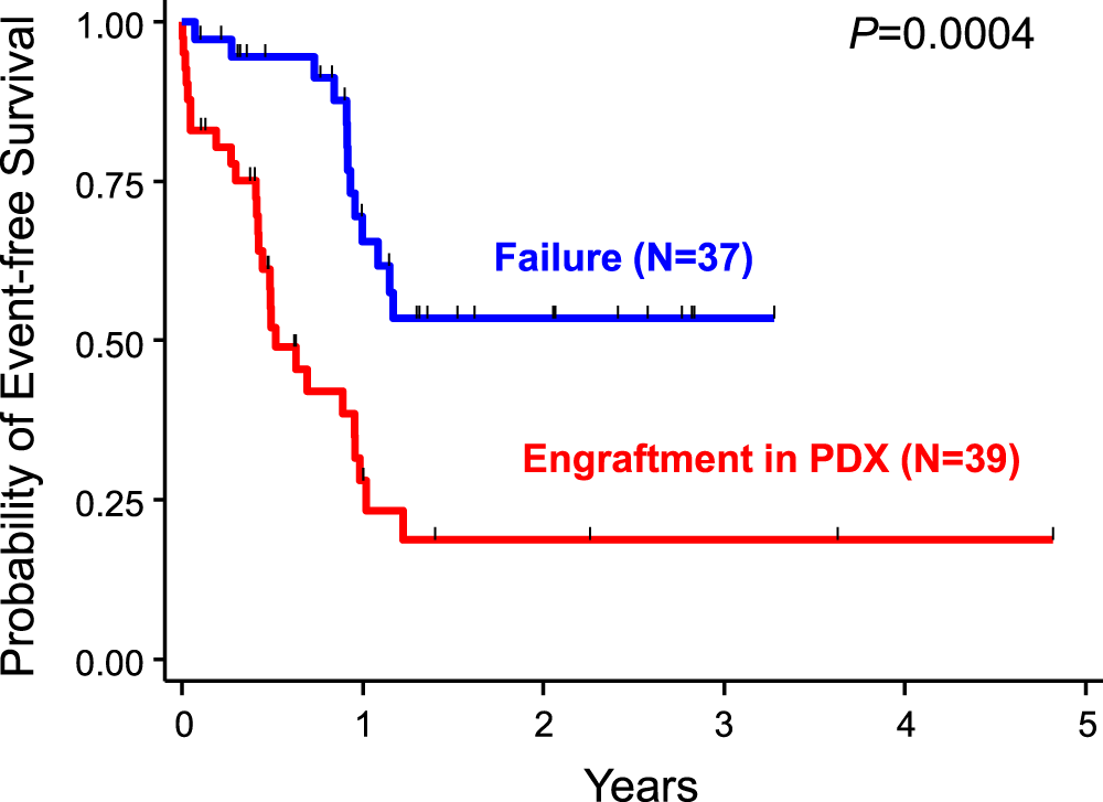Fig. 5: Event-free survival of AML patients according to the establishment of AML-PDX.