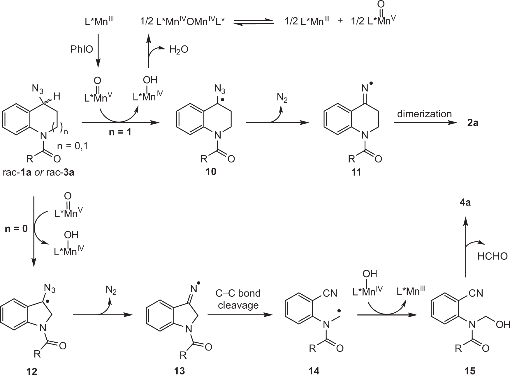 Fig. 6: Proposed reaction mechanism.