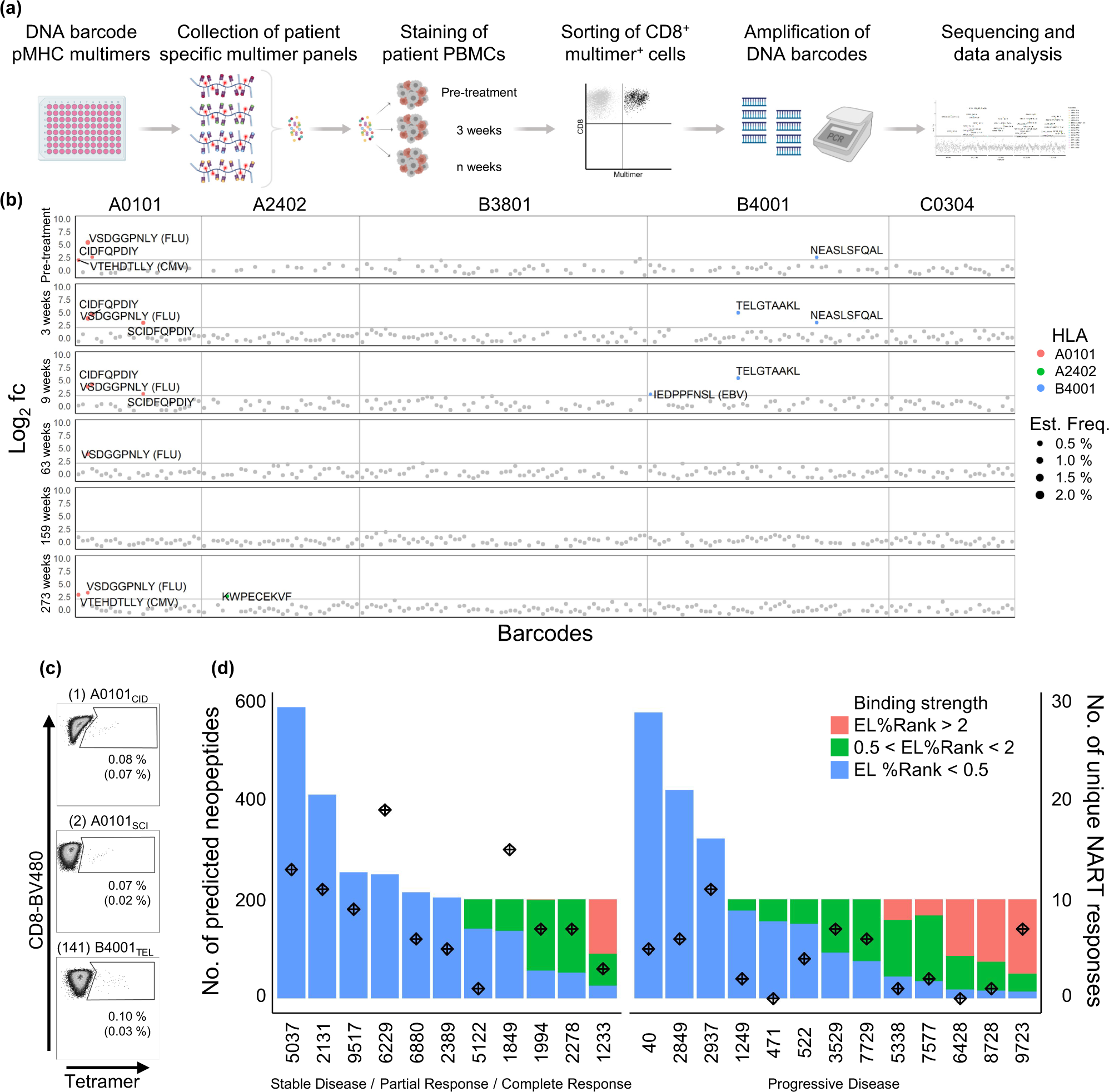 Fig. 2: Detection of neoepitope-reactive T cell responses in mUC cancer patients.