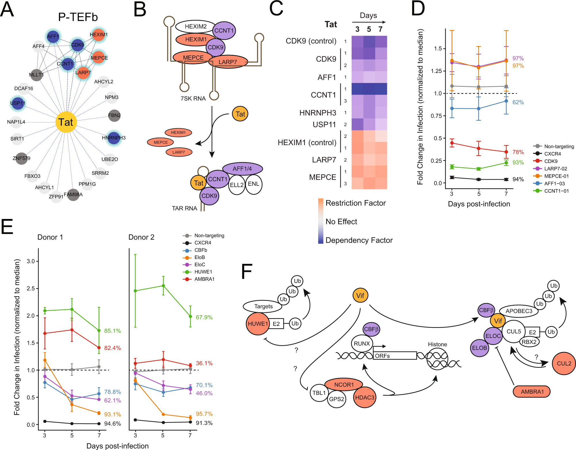 Fig. 4: A functional map of HIV Tat and Vif complexes.