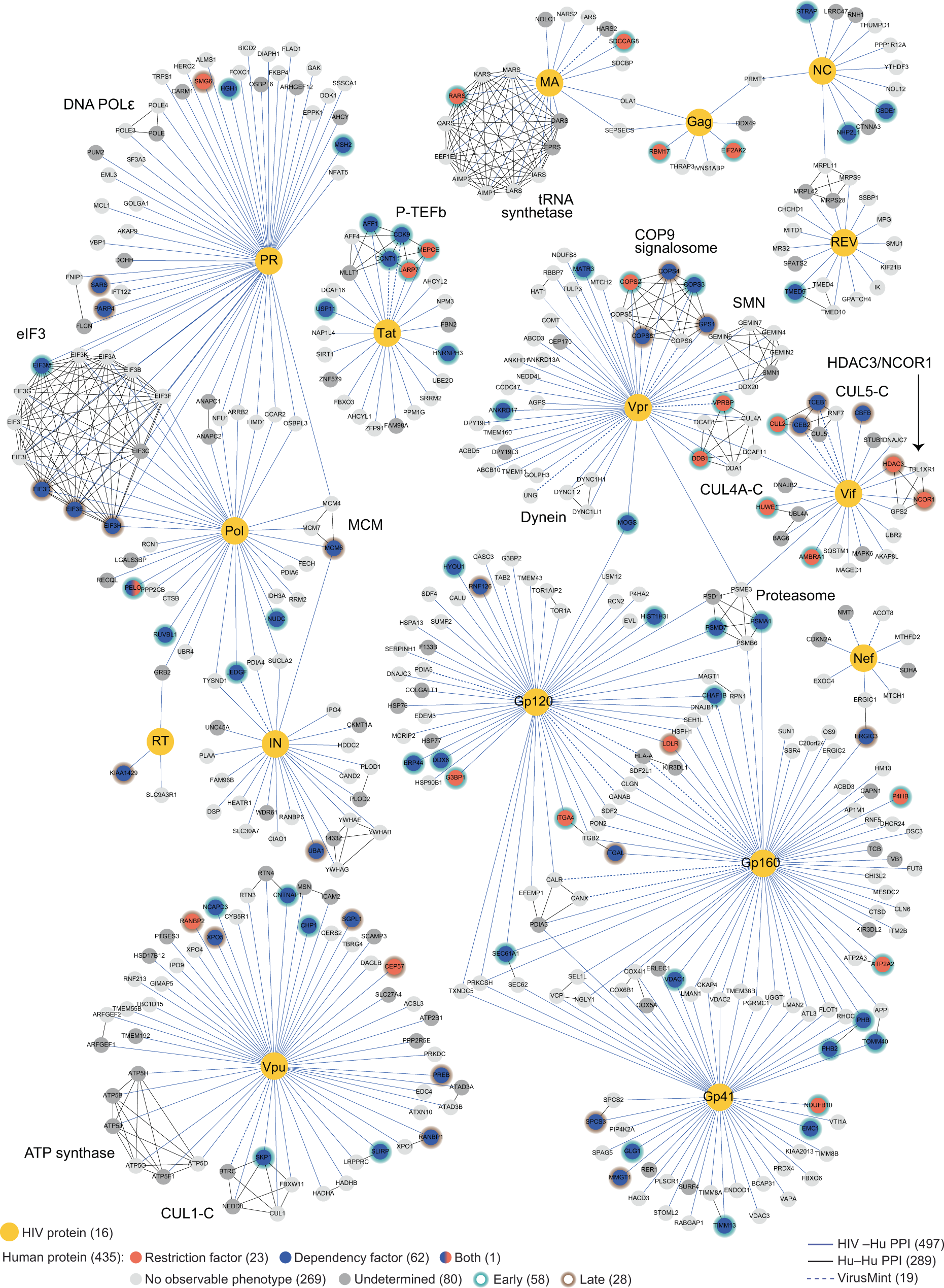 Fig. 5: A functional map of HIV-host interactions.