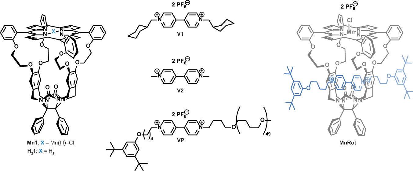 Fig. 1: Molecular structures of the studied compounds.