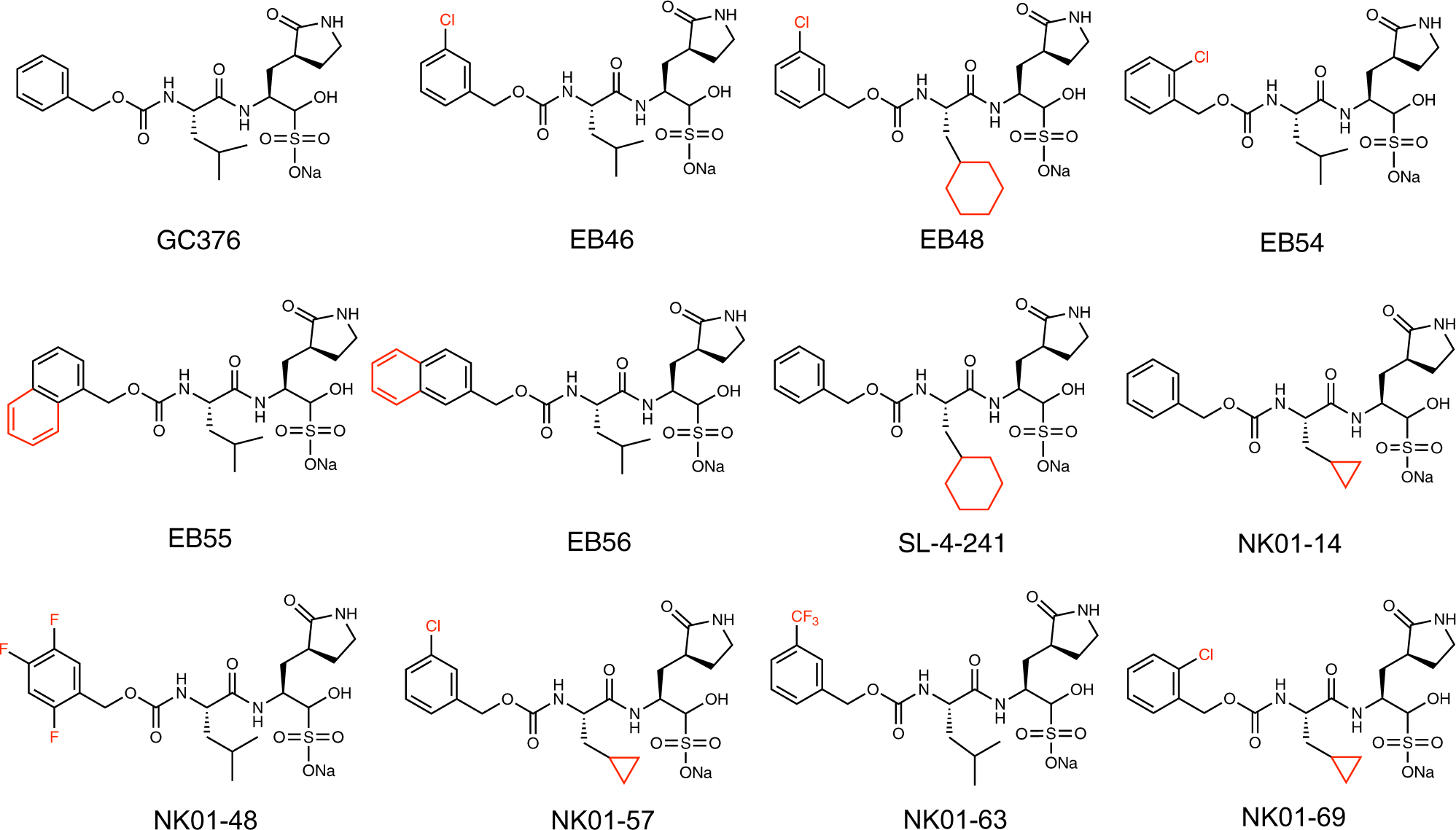 Fig. 3: Analogs of GC376 developed as SARS-CoV-2 3CL protease inhibitors.