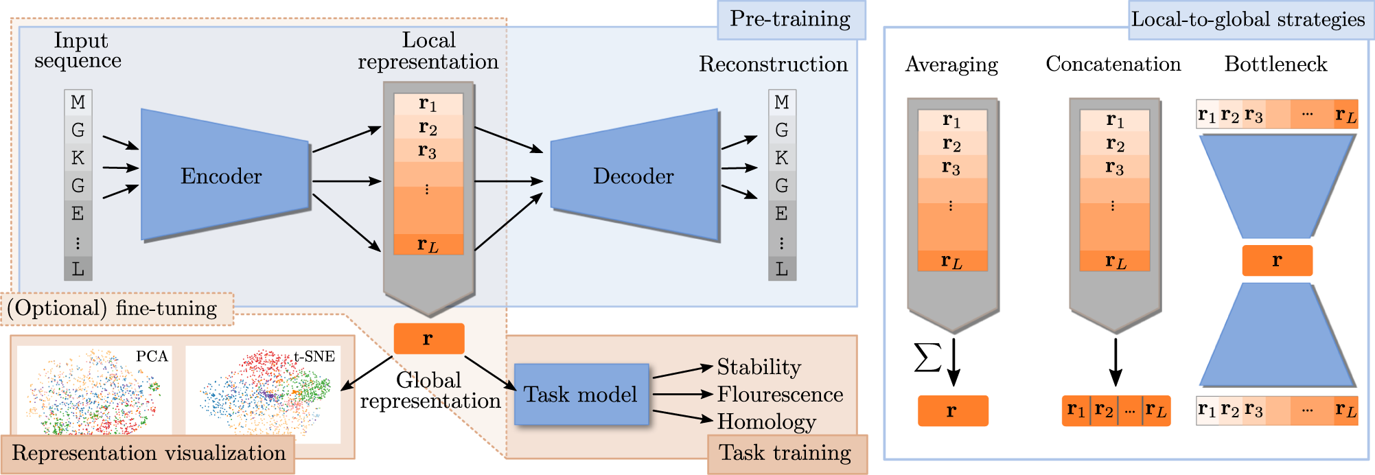 Learning meaningful representations of protein sequences | Nature  Communications